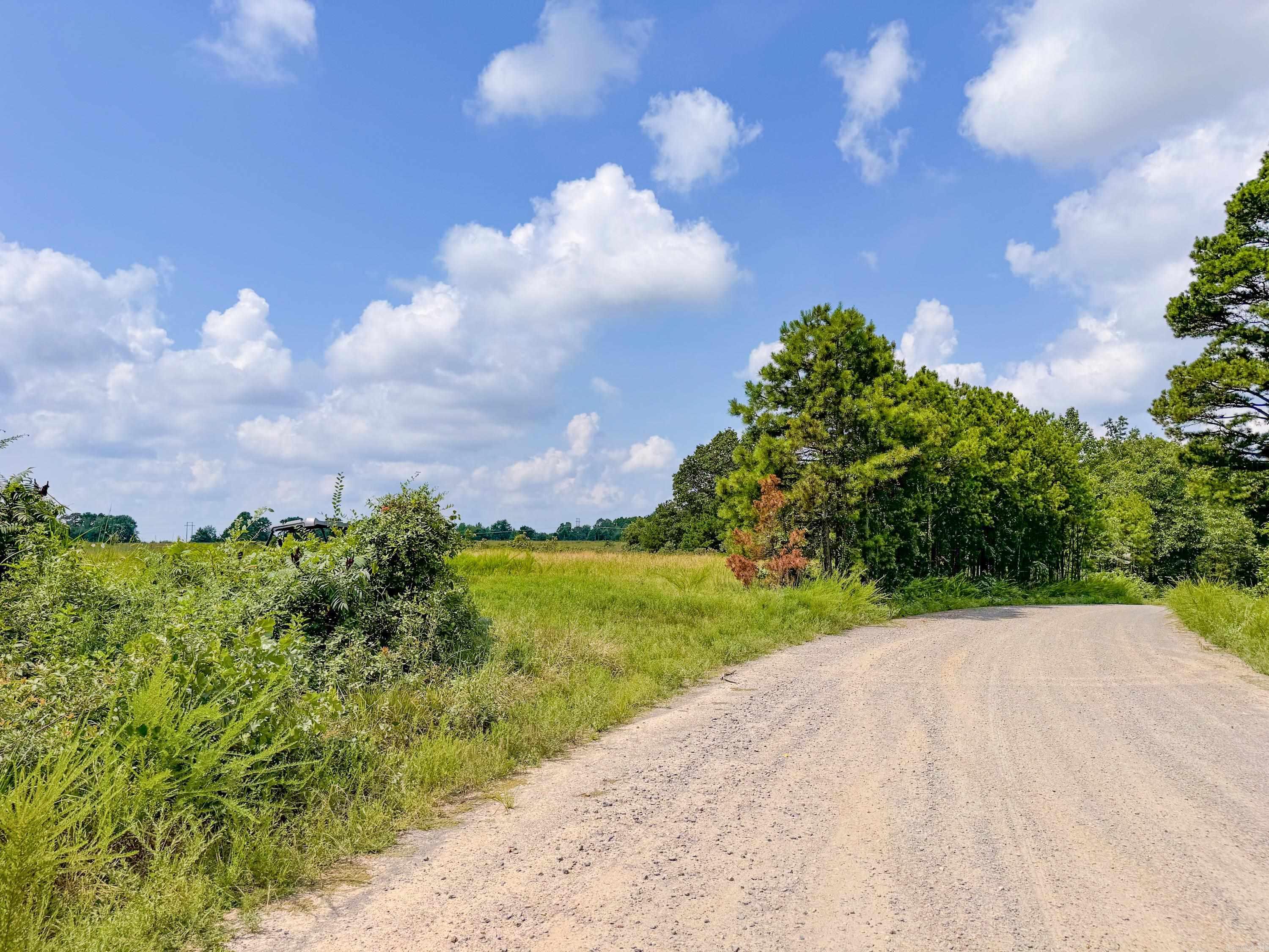 1300  Scroggins Creek  Bee Branch, AR