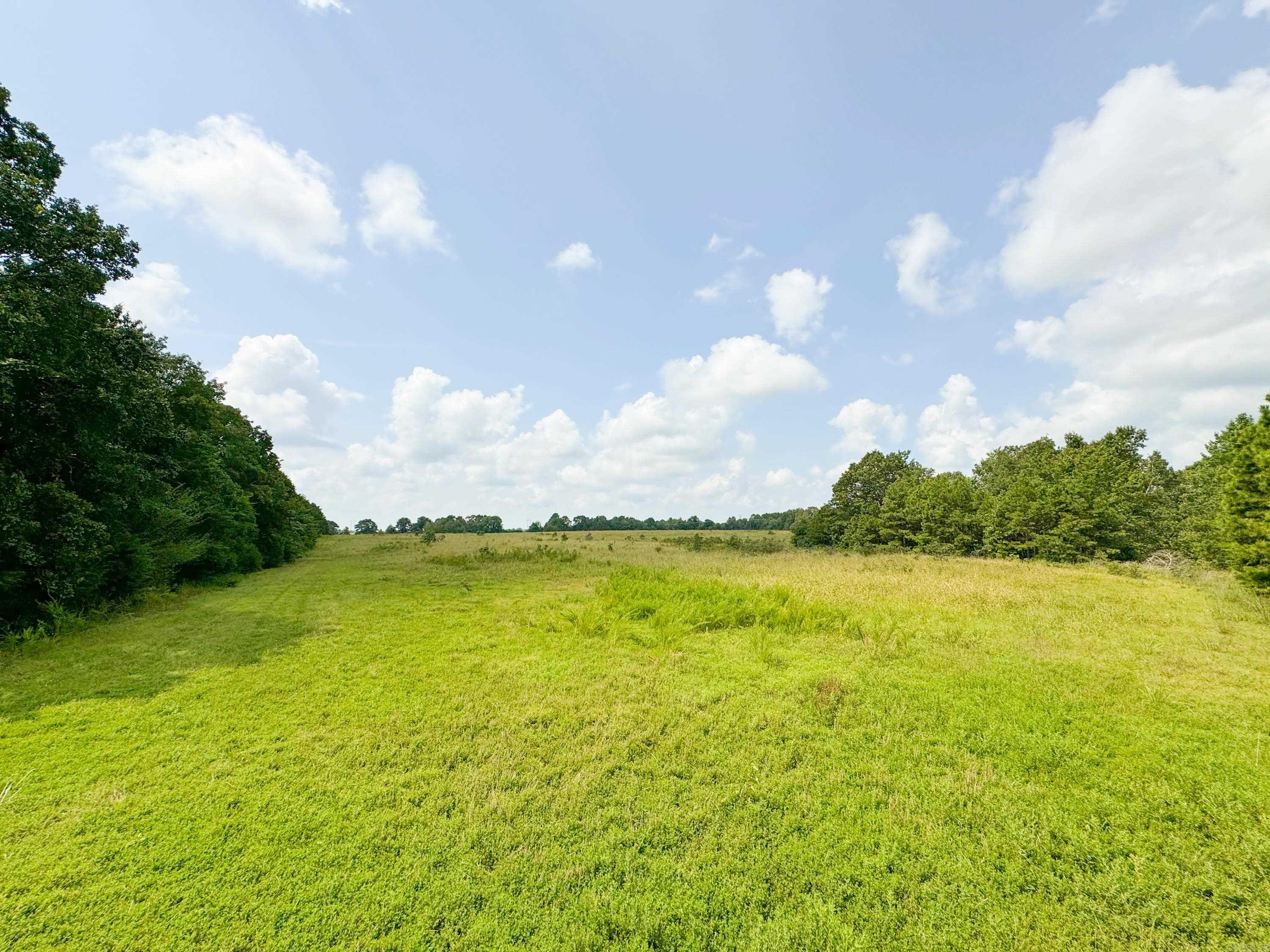 1300  Scroggins Creek  Bee Branch, AR