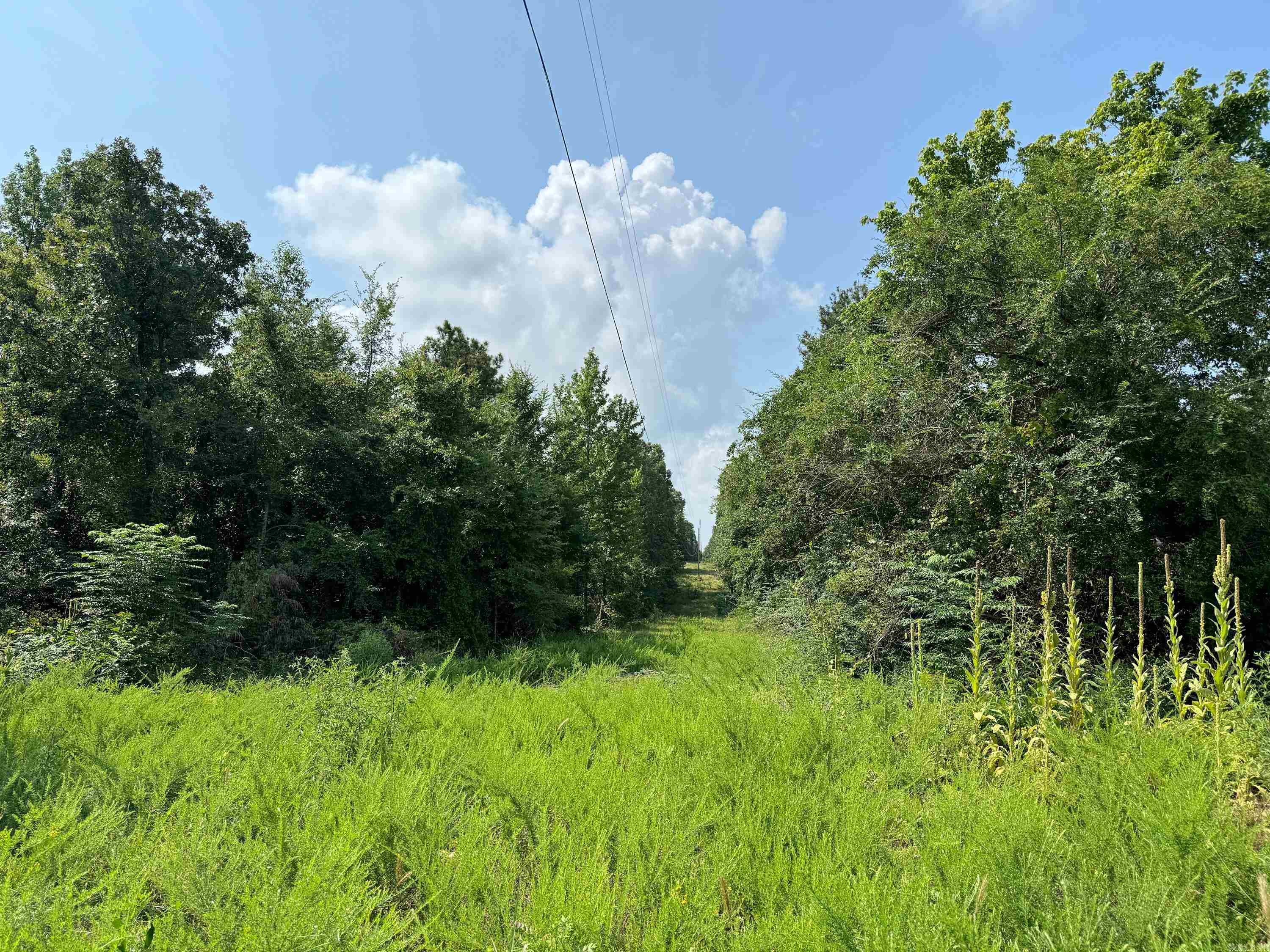 1300  Scroggins Creek  Bee Branch, AR