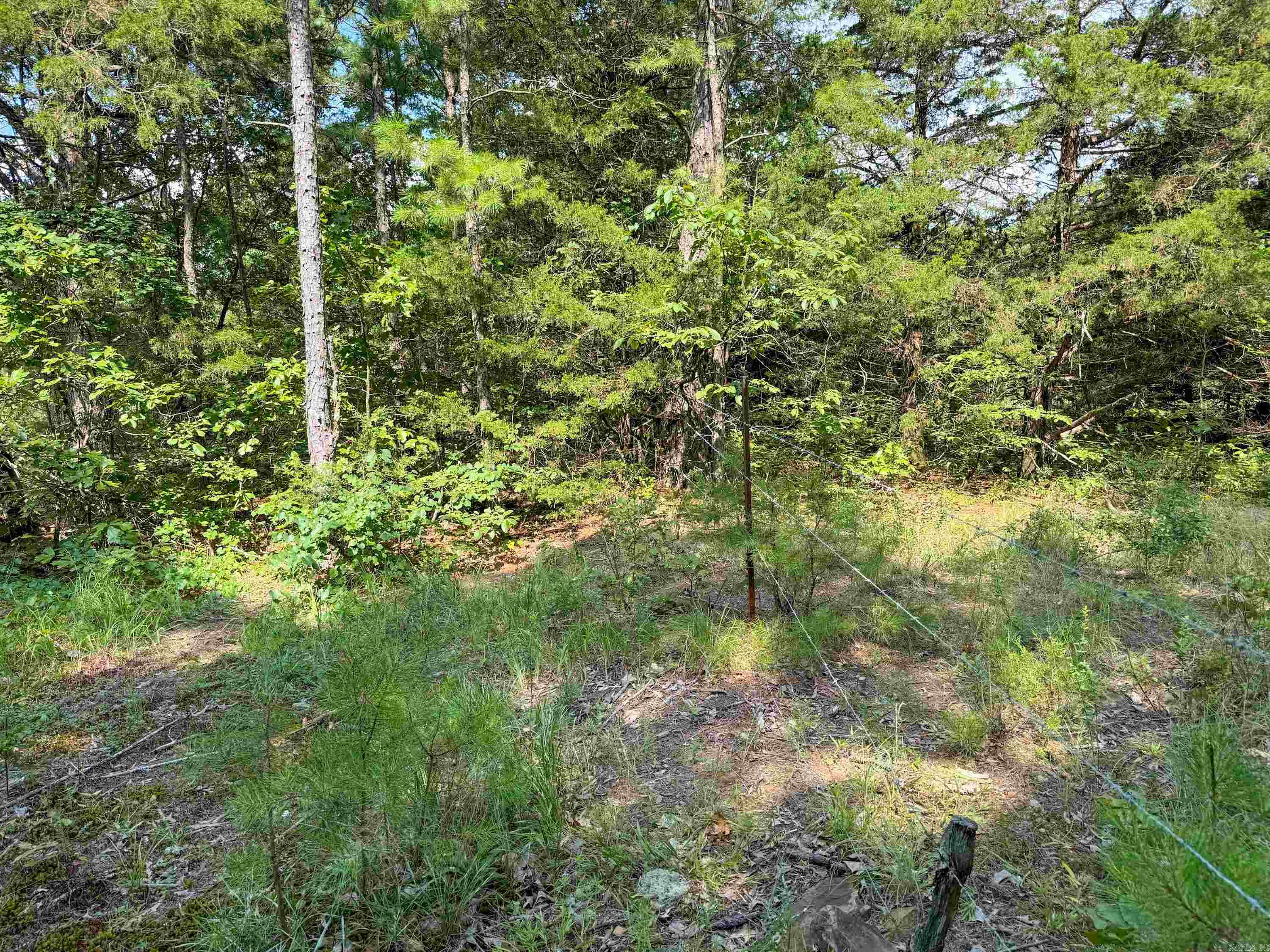 1300  Scroggins Creek  Bee Branch, AR