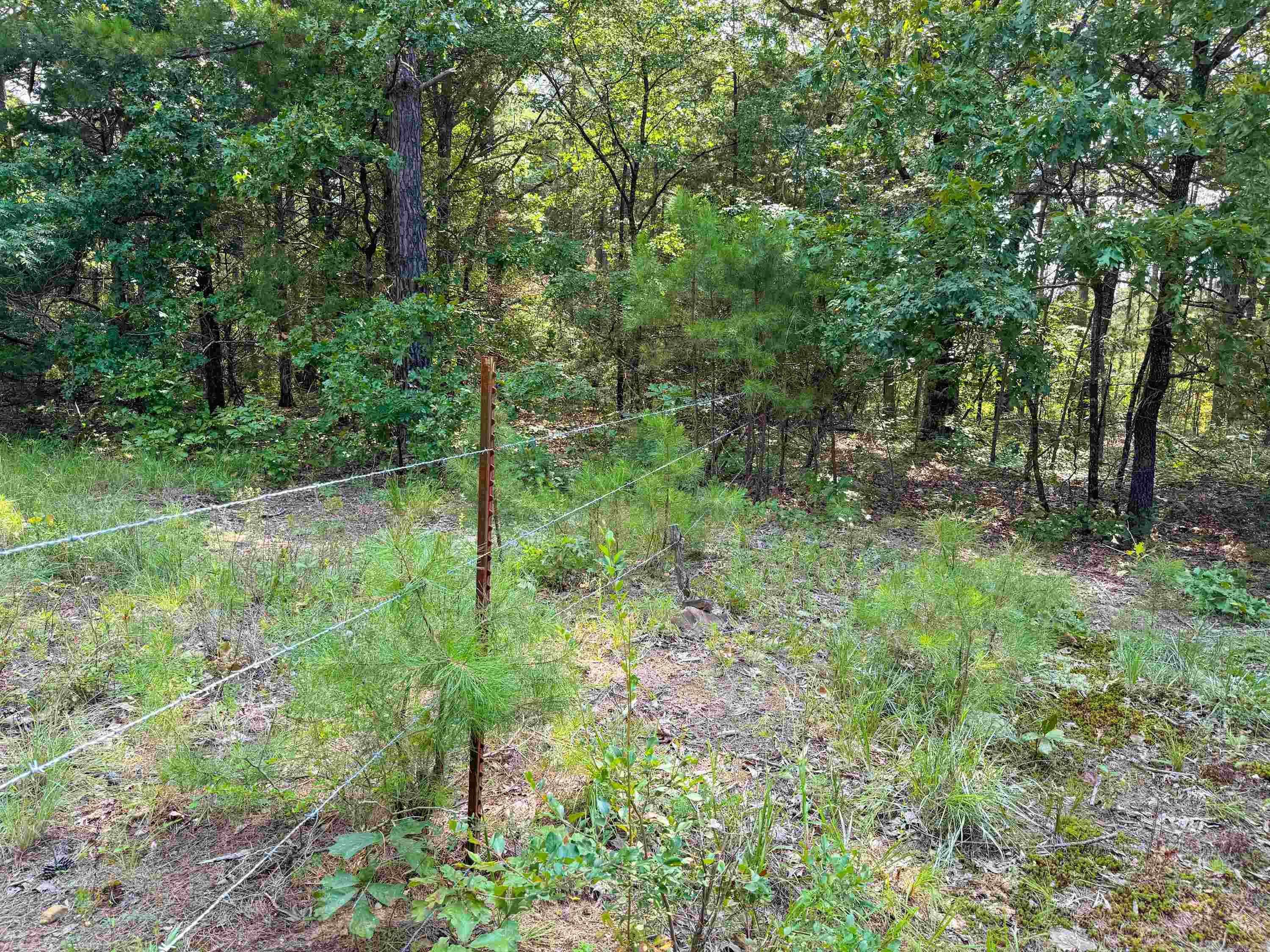 1300  Scroggins Creek  Bee Branch, AR