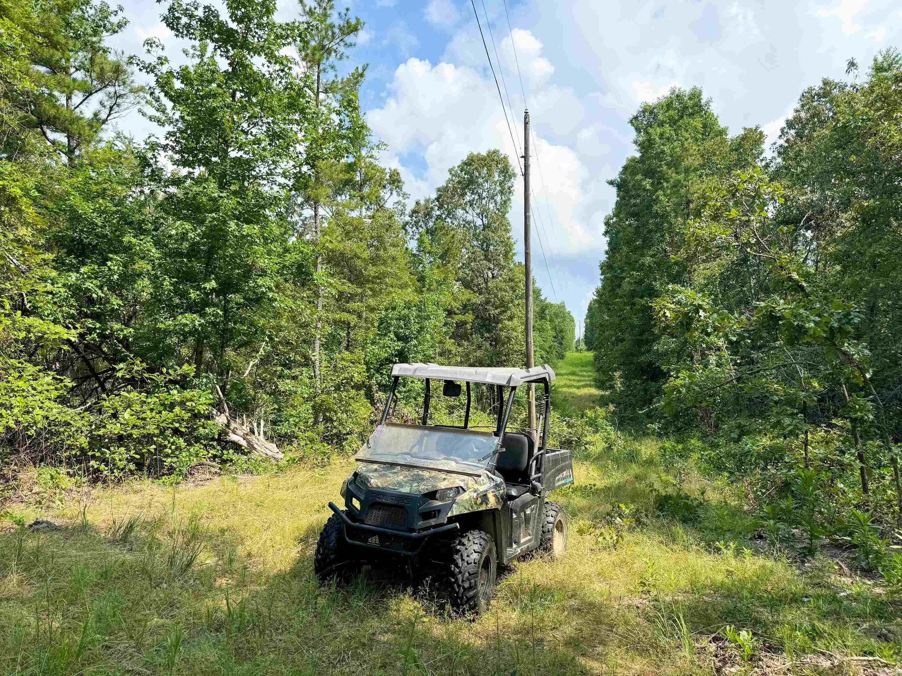 1300  Scroggins Creek  Bee Branch, AR