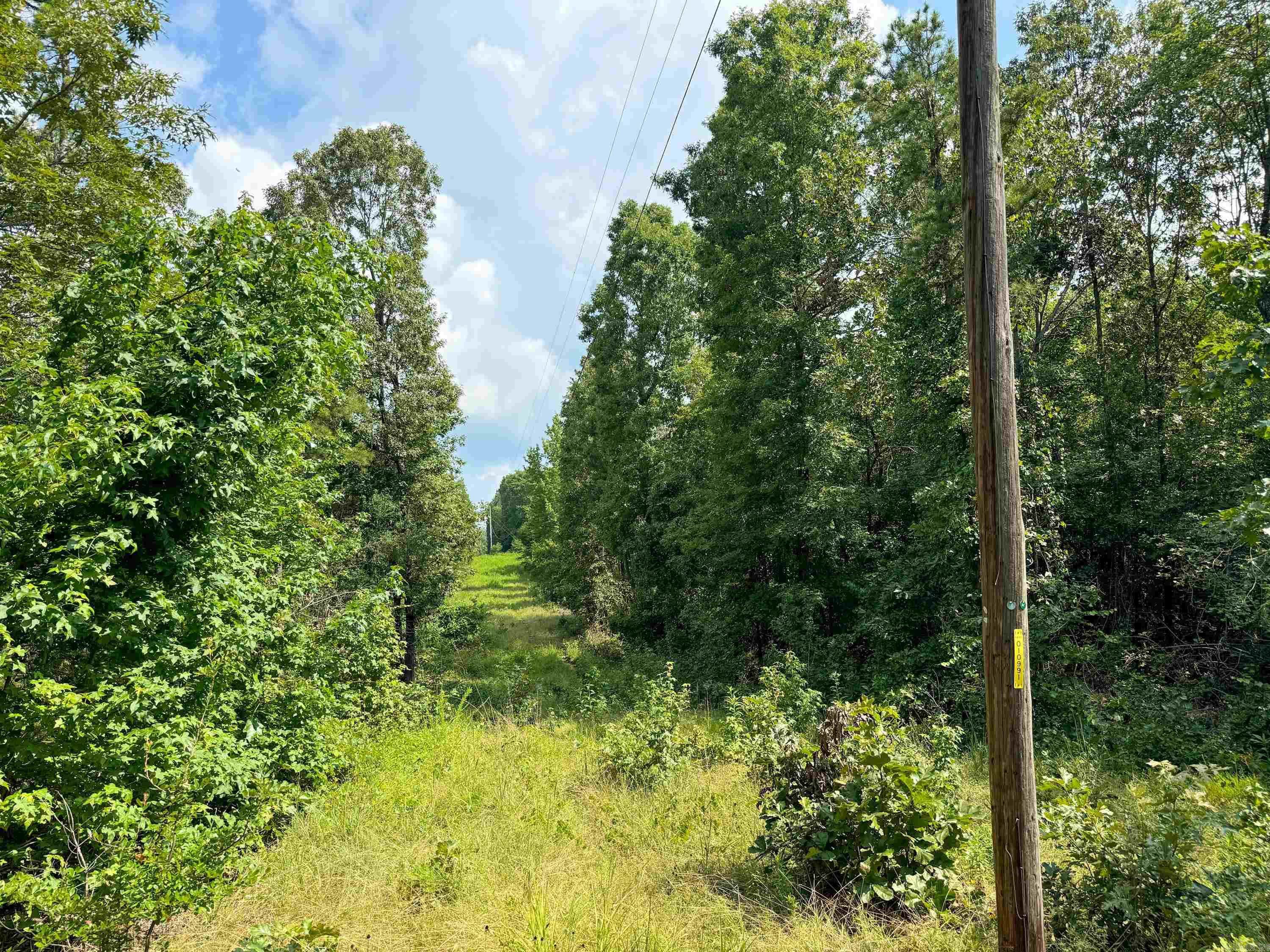 1300  Scroggins Creek  Bee Branch, AR