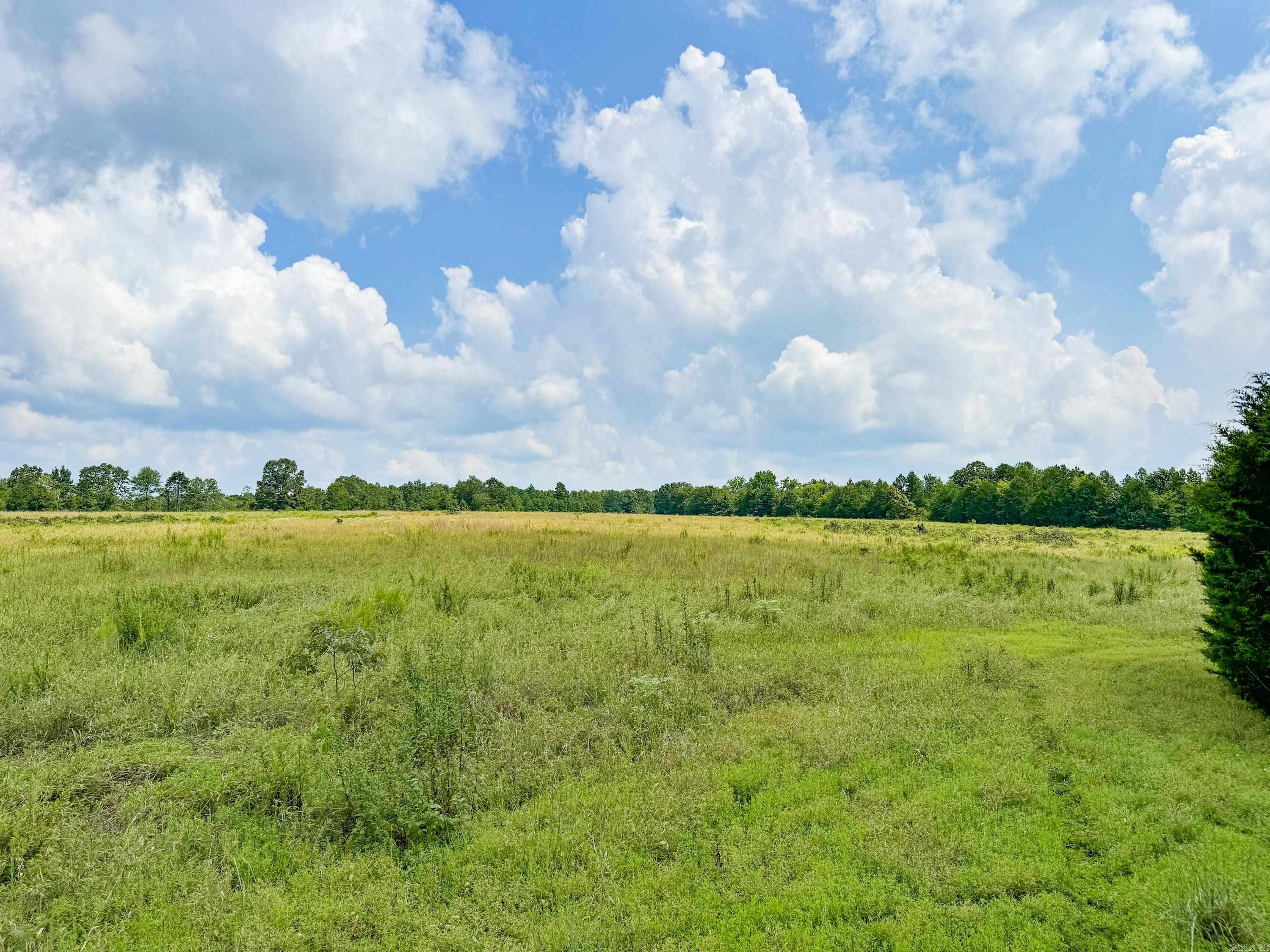1300  Scroggins Creek  Bee Branch, AR
