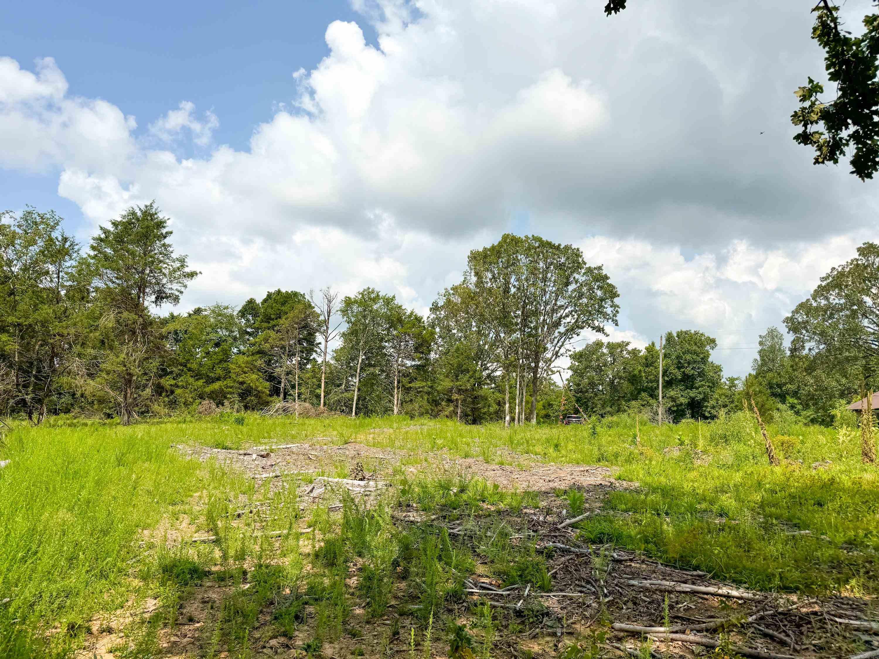 1300  Scroggins Creek  Bee Branch, AR