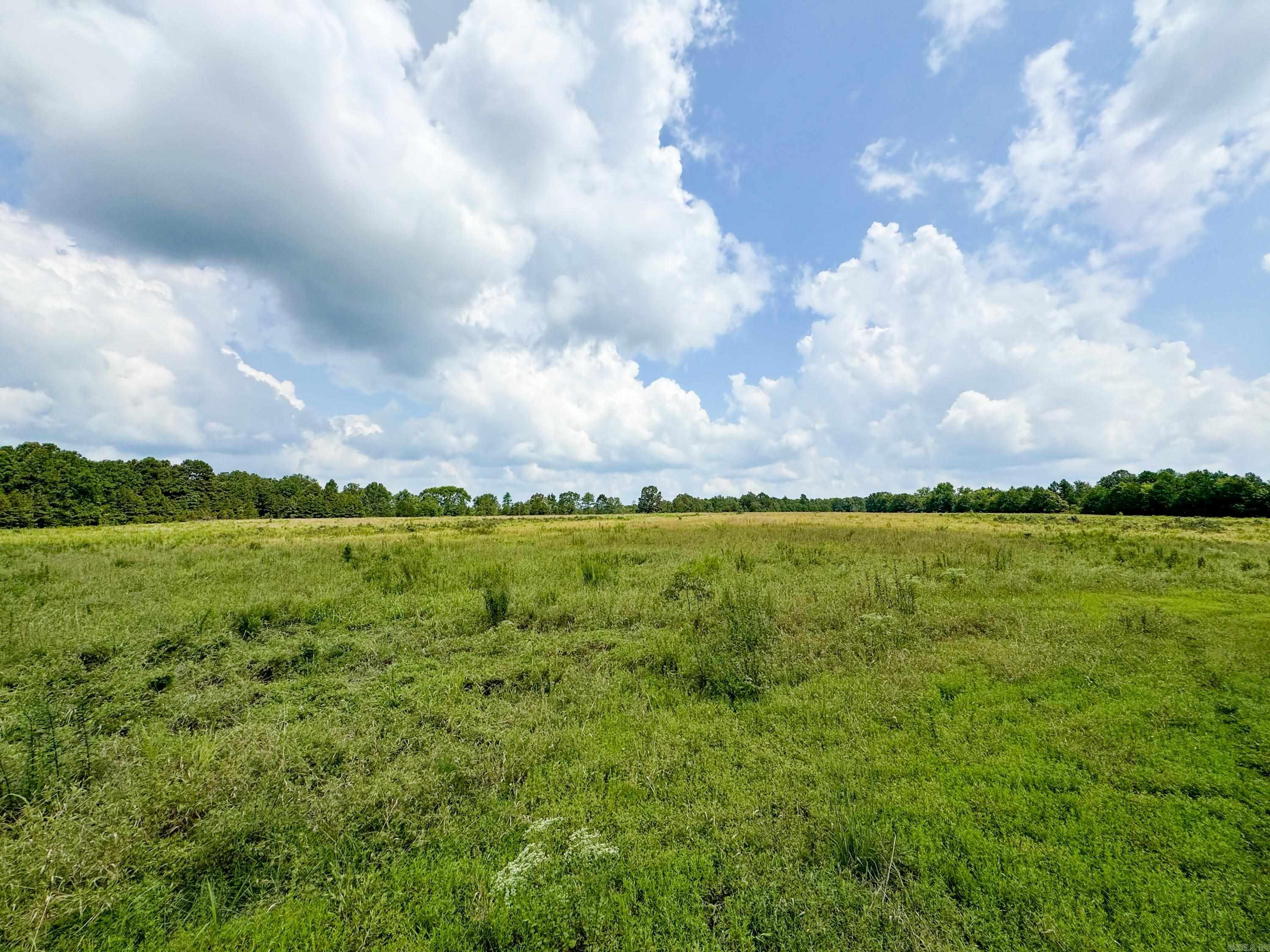 1300  Scroggins Creek  Bee Branch, AR