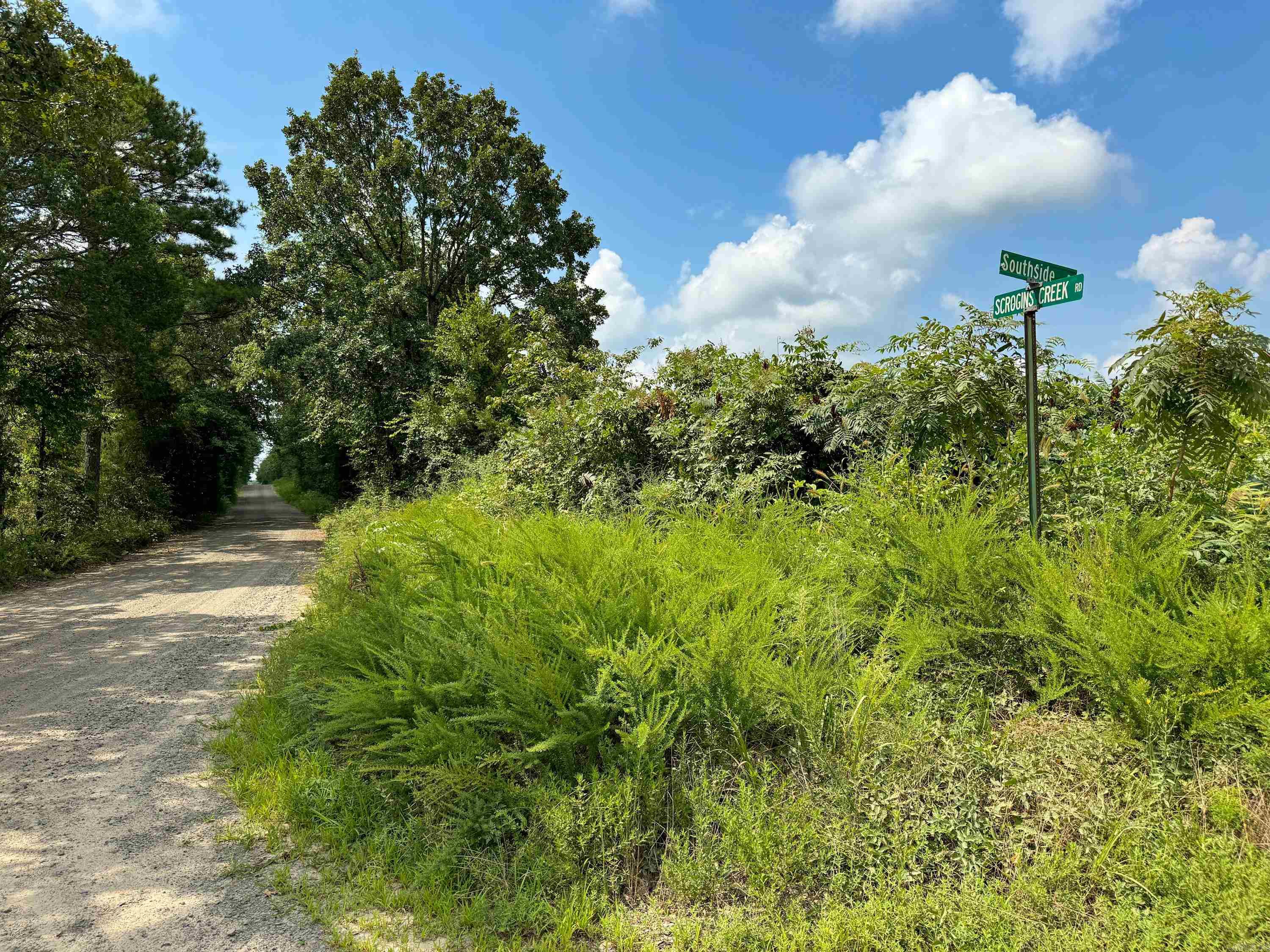 1300  Scroggins Creek  Bee Branch, AR