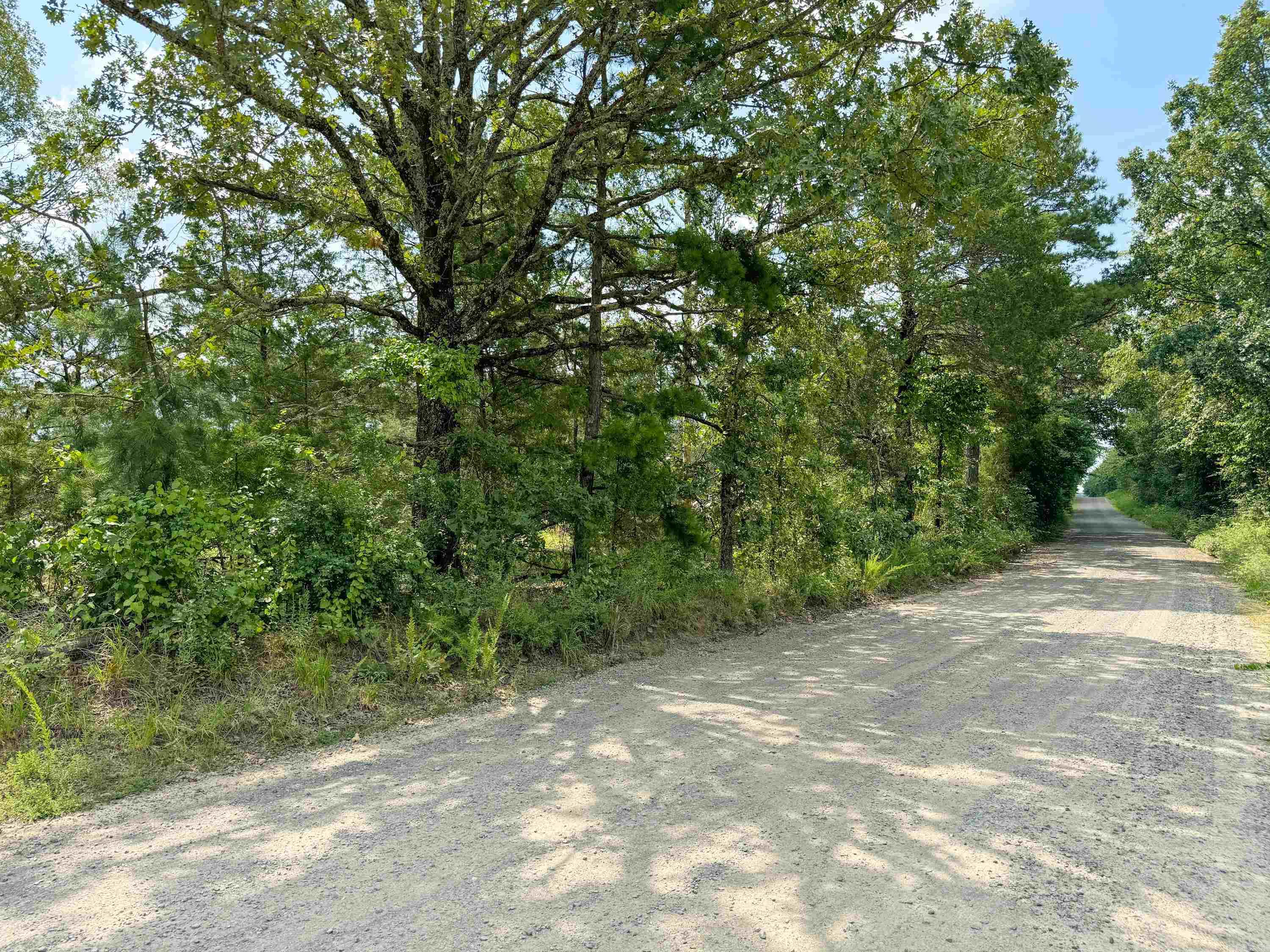 1300  Scroggins Creek  Bee Branch, AR