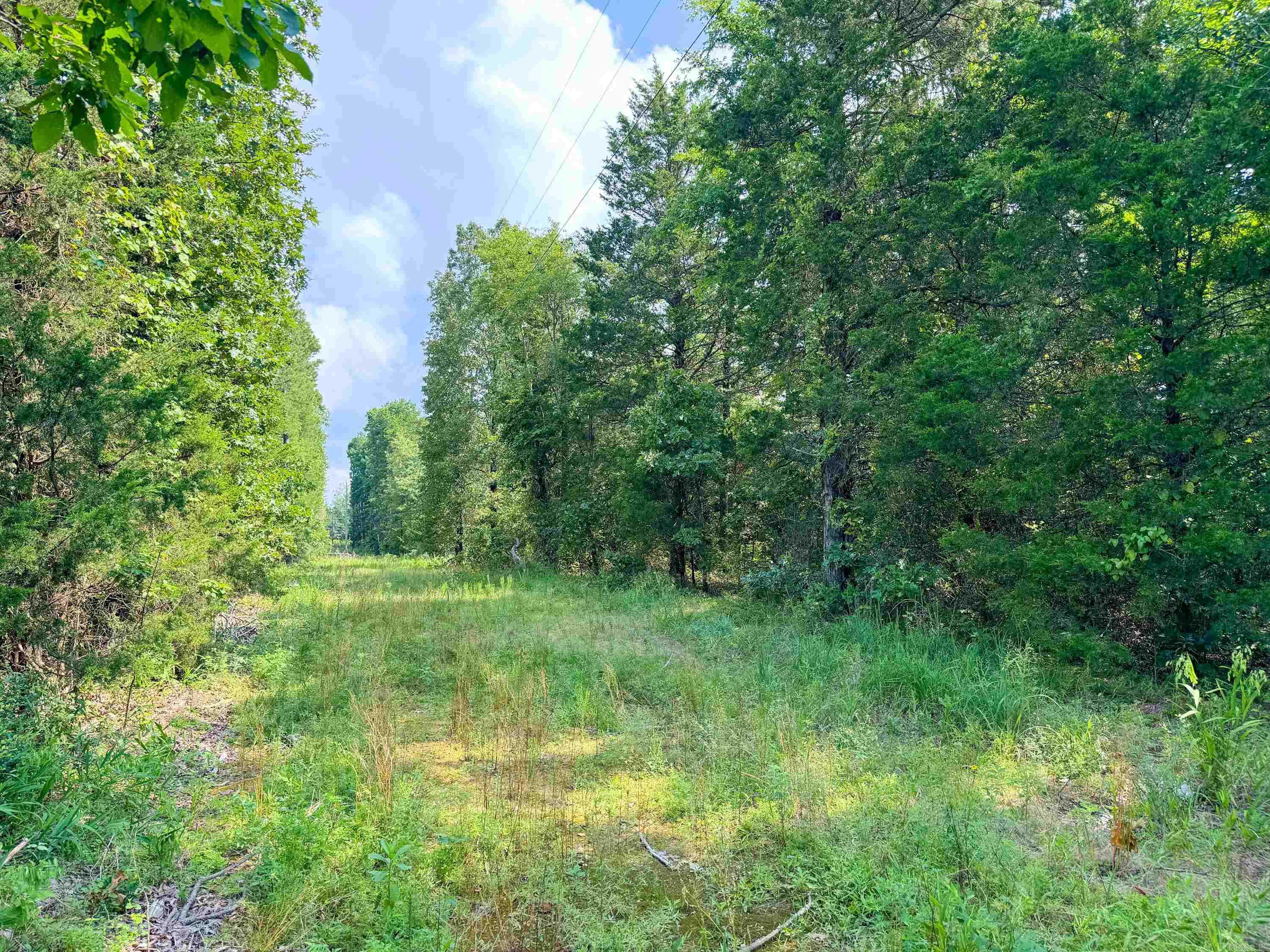 1300  Scroggins Creek  Bee Branch, AR