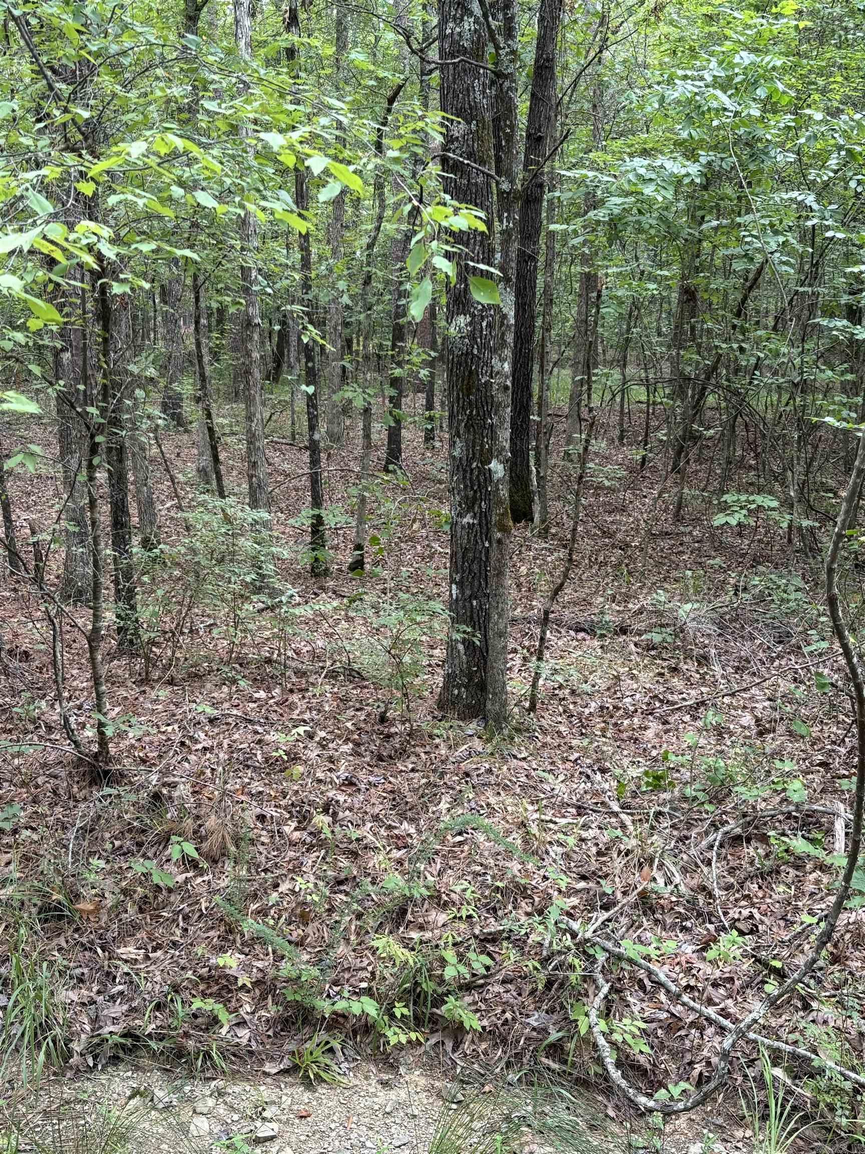 00  Venado Way  Hot Springs Village, AR