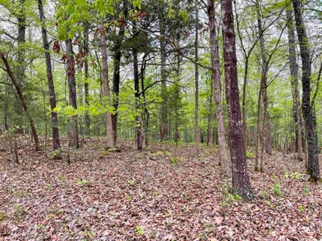 0  Timbercrest  Viola, AR