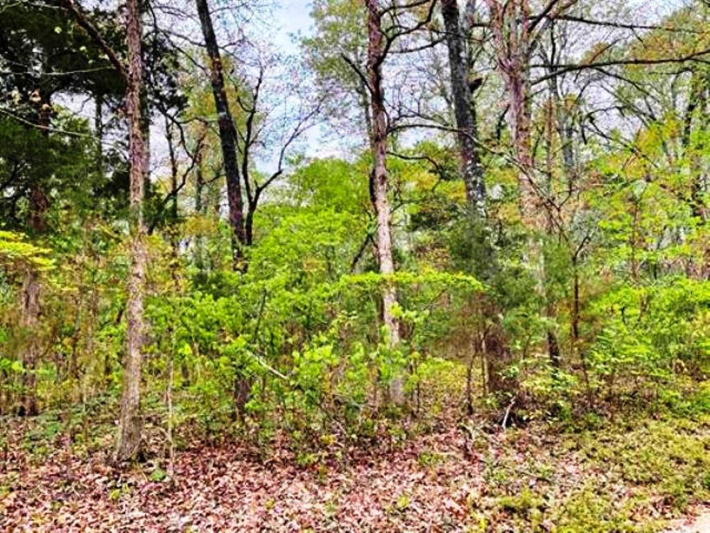 0  Timbercrest  Viola, AR