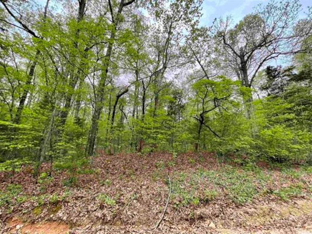 0  Timbercrest  Viola, AR