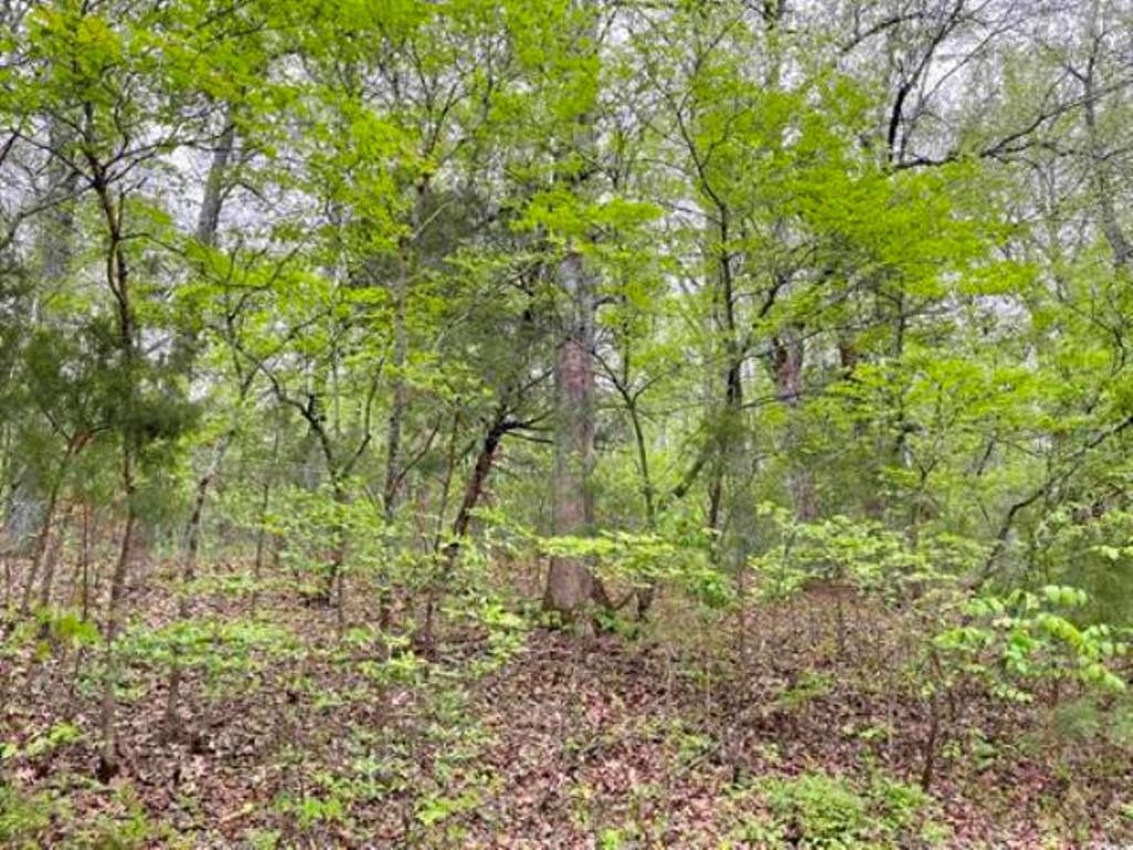 0  Timbercrest  Viola, AR