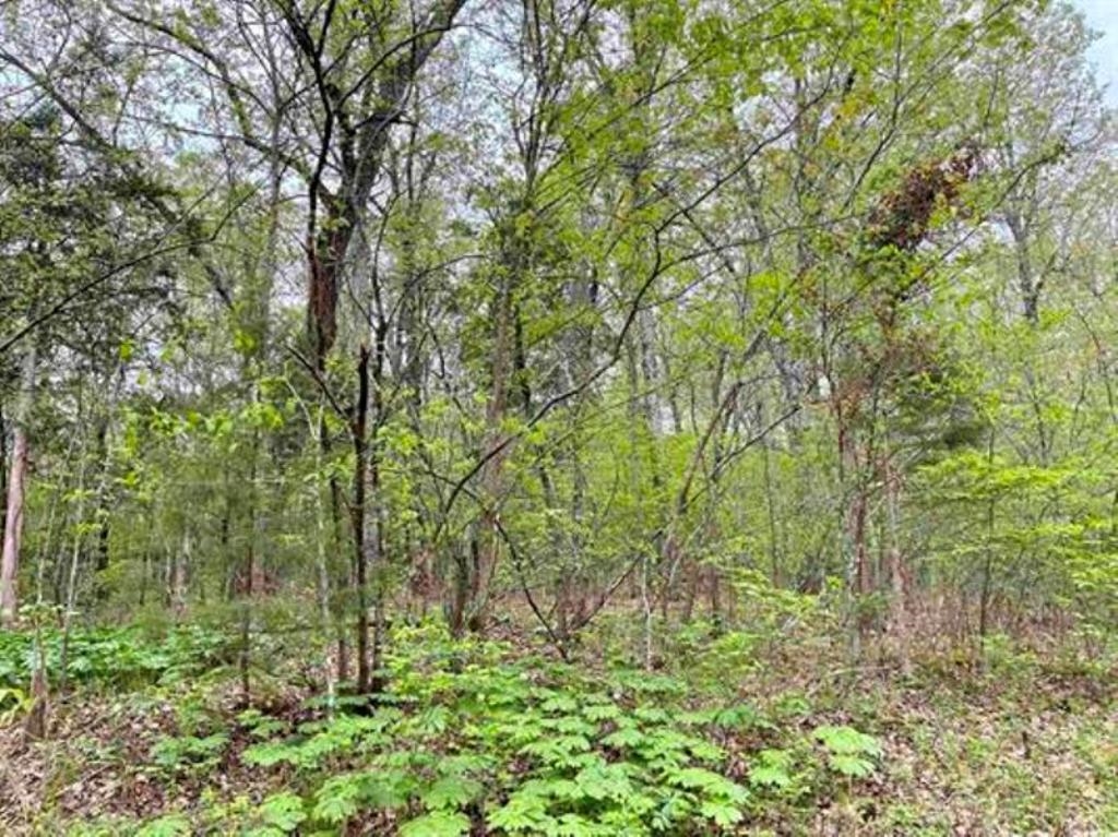 0  Timbercrest  Viola, AR