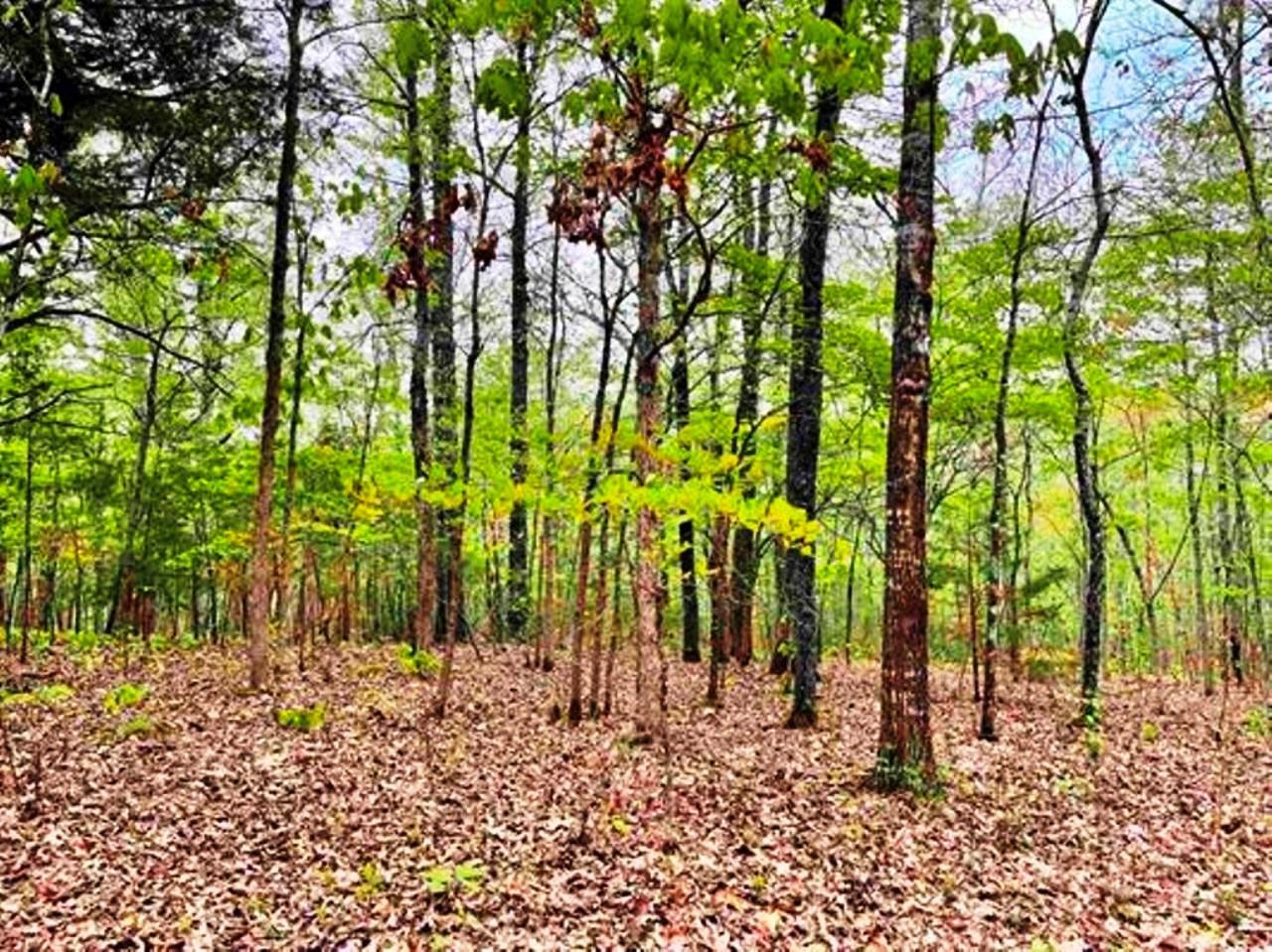 0  Timbercrest  Viola, AR