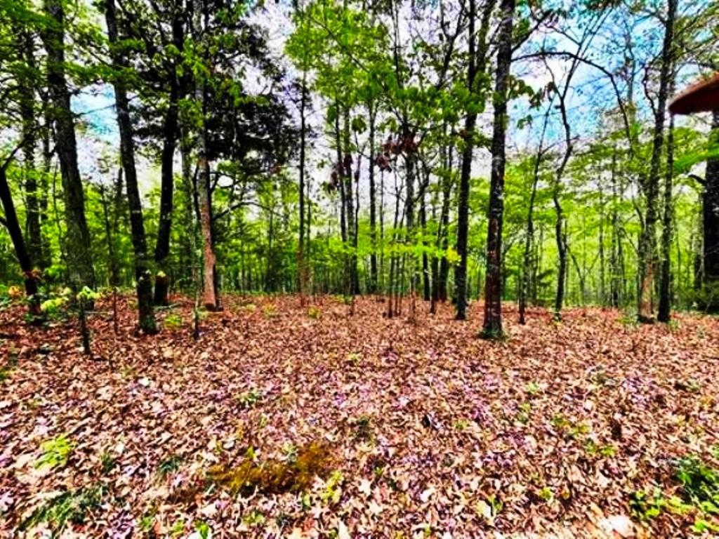 0  Timbercrest  Viola, AR
