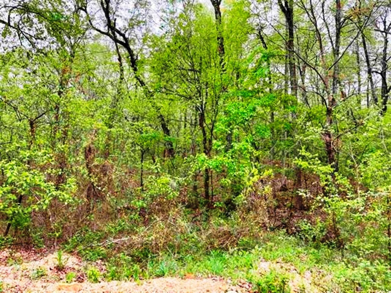 0  Timbercrest  Viola, AR