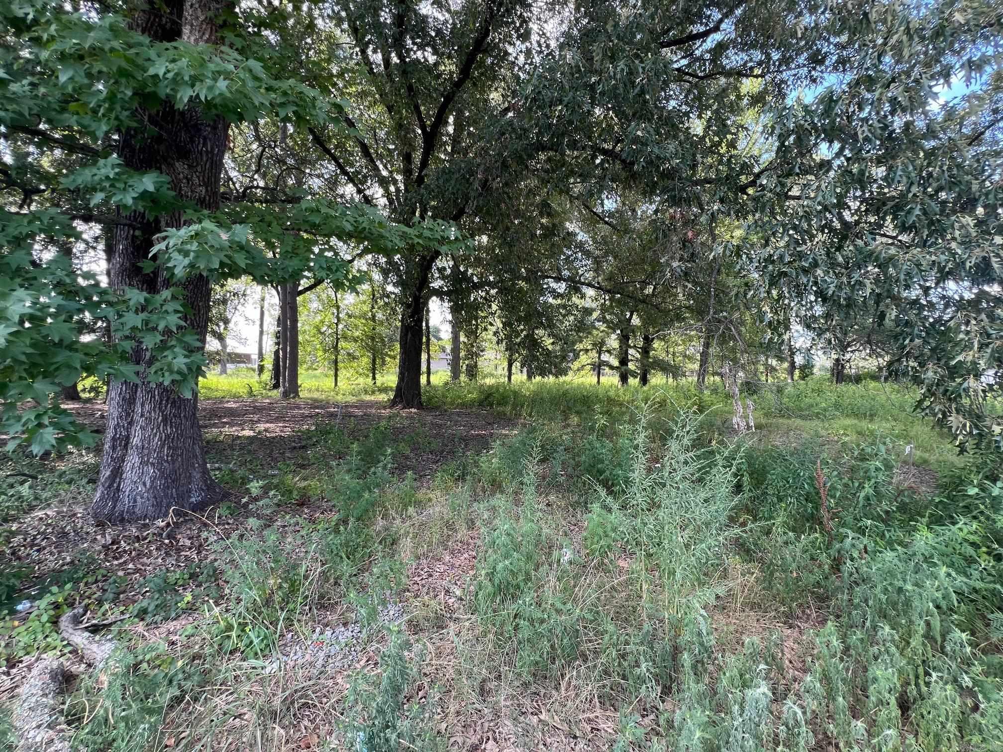 6100  Young  Little Rock, AR