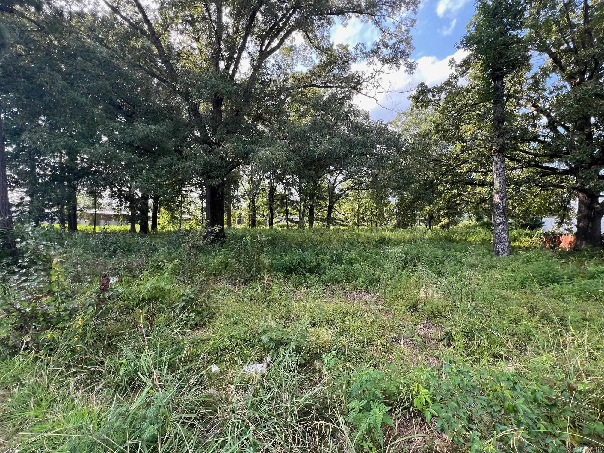 6100  Young  Little Rock, AR