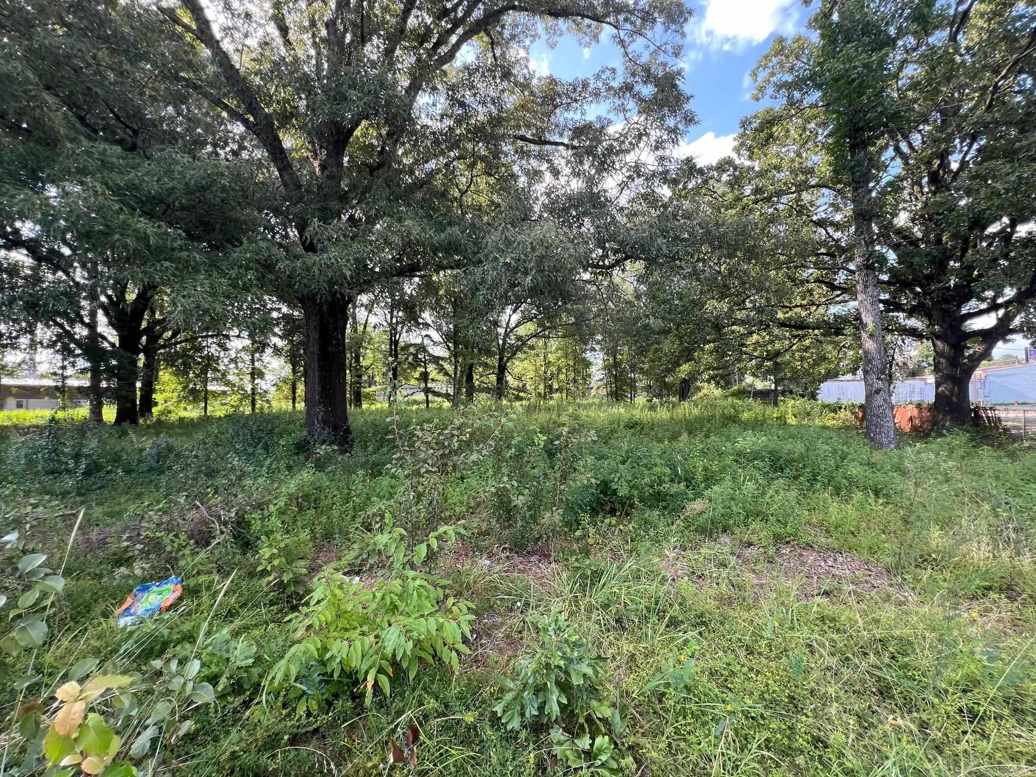 6100  Young  Little Rock, AR