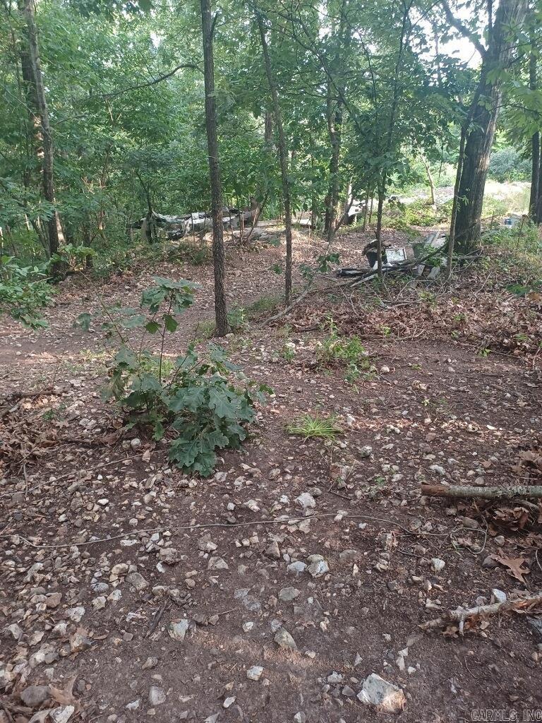 1267  Brushy Fork  Yellville, AR