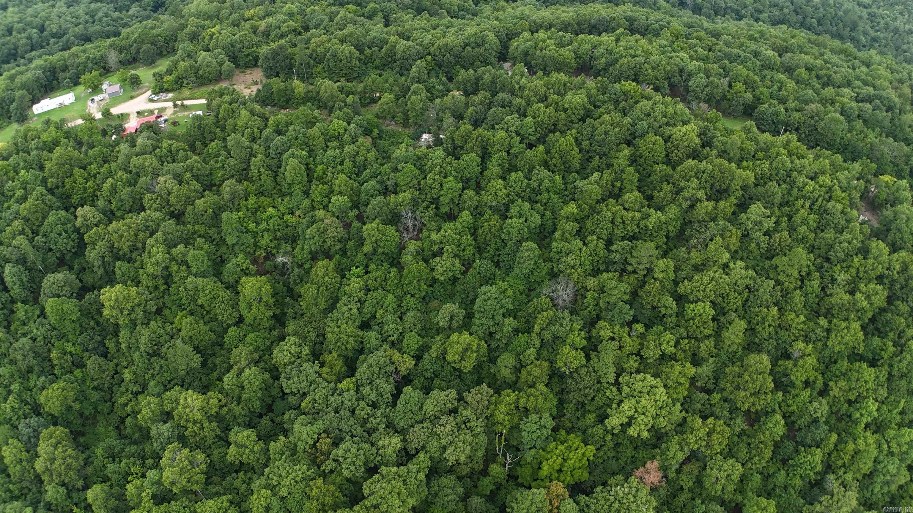 1267  Brushy Fork  Yellville, AR
