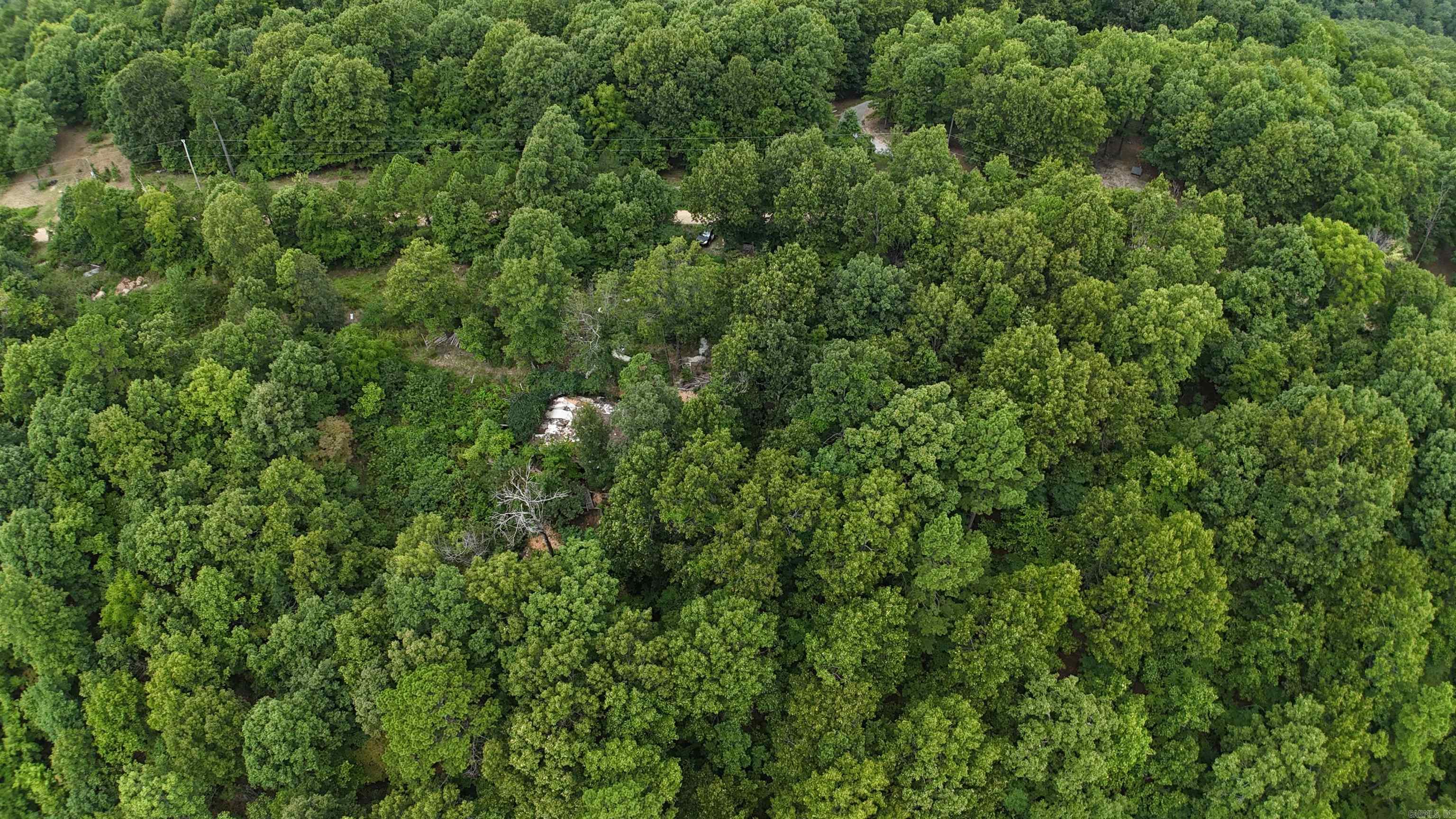 1267  Brushy Fork  Yellville, AR