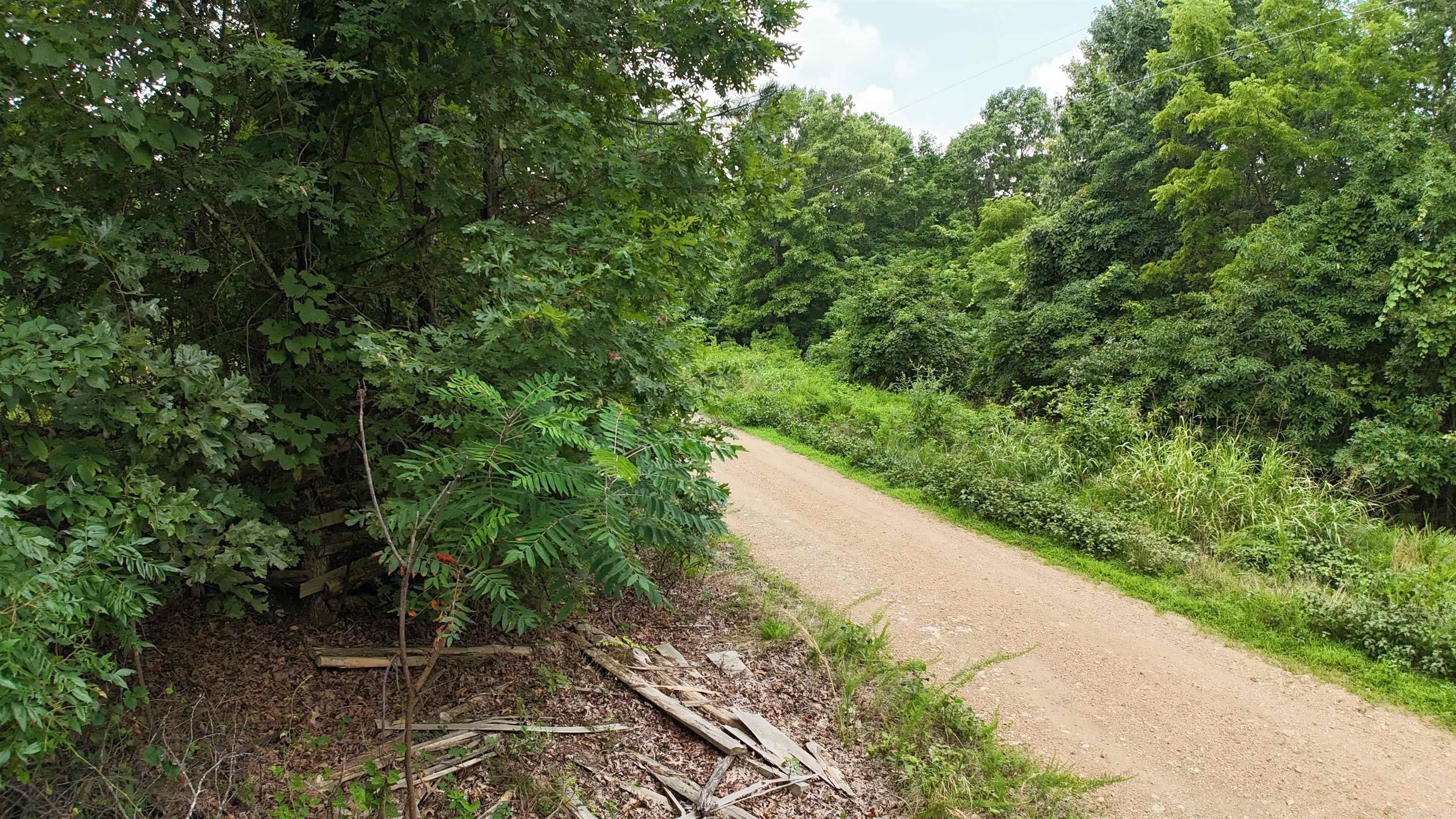 1267  Brushy Fork  Yellville, AR