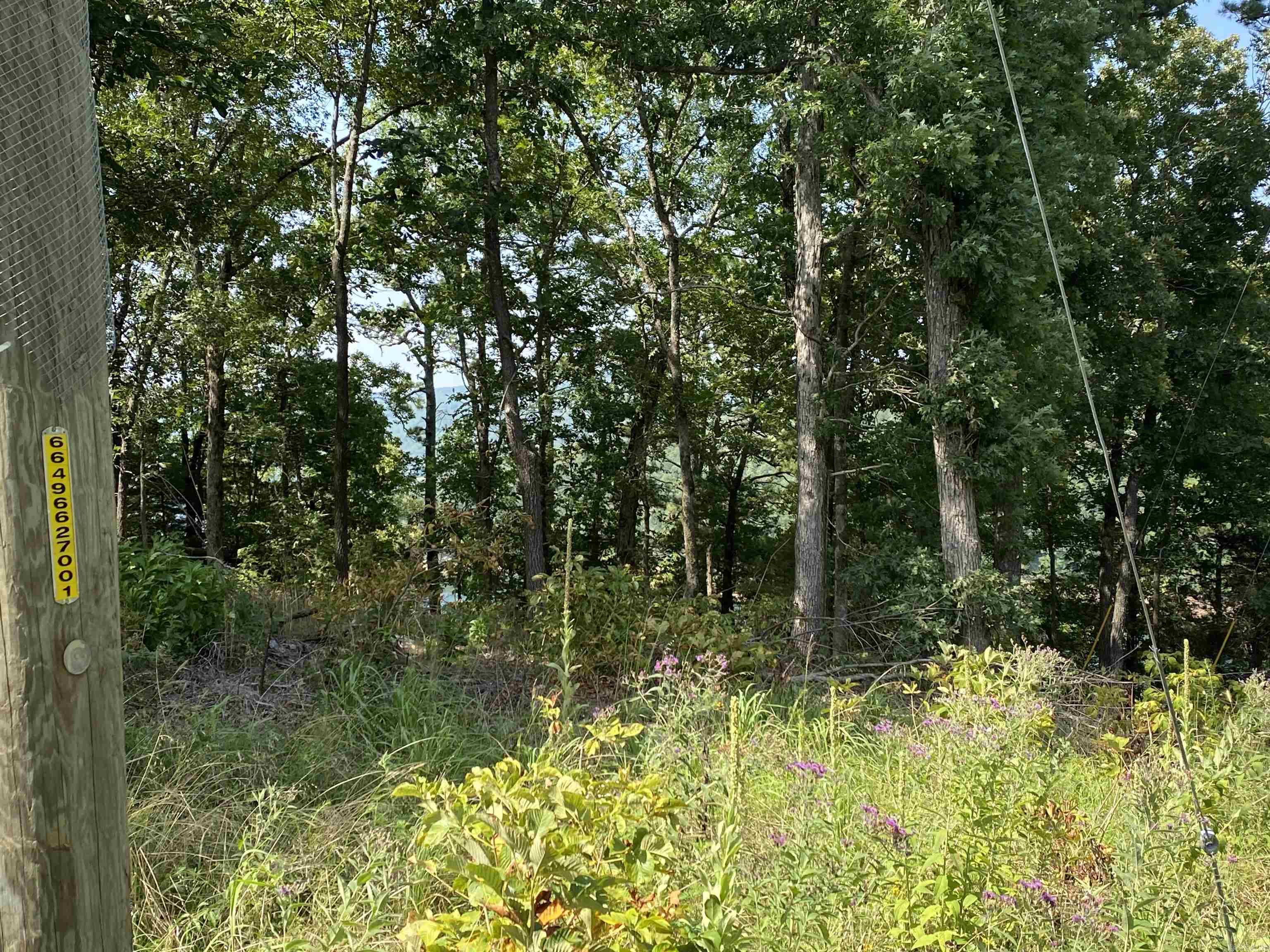 Lot 6 & 7  Bluff Dr.  Edgemont, AR