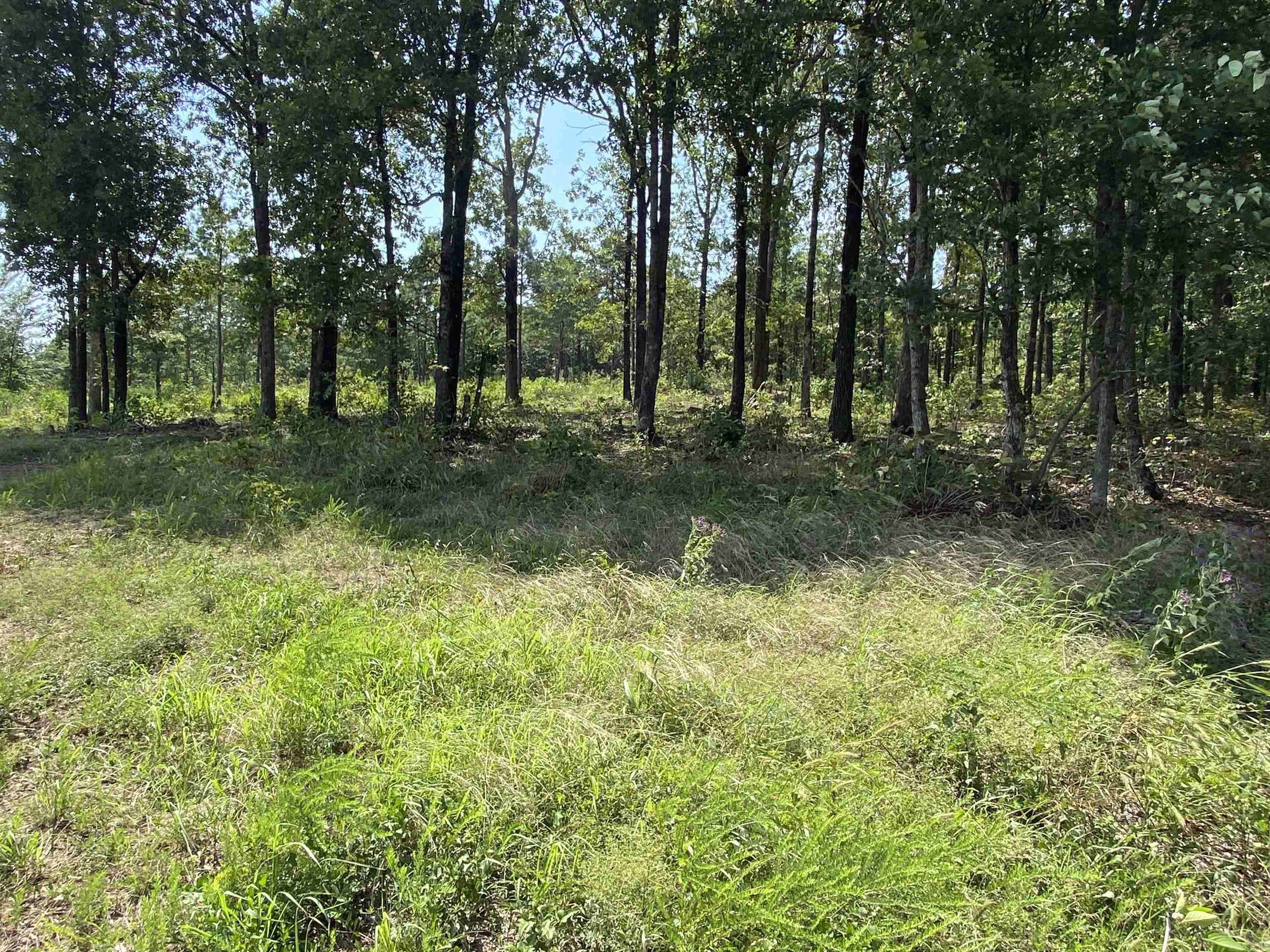 Lot 6 & 7  Bluff Dr.  Edgemont, AR