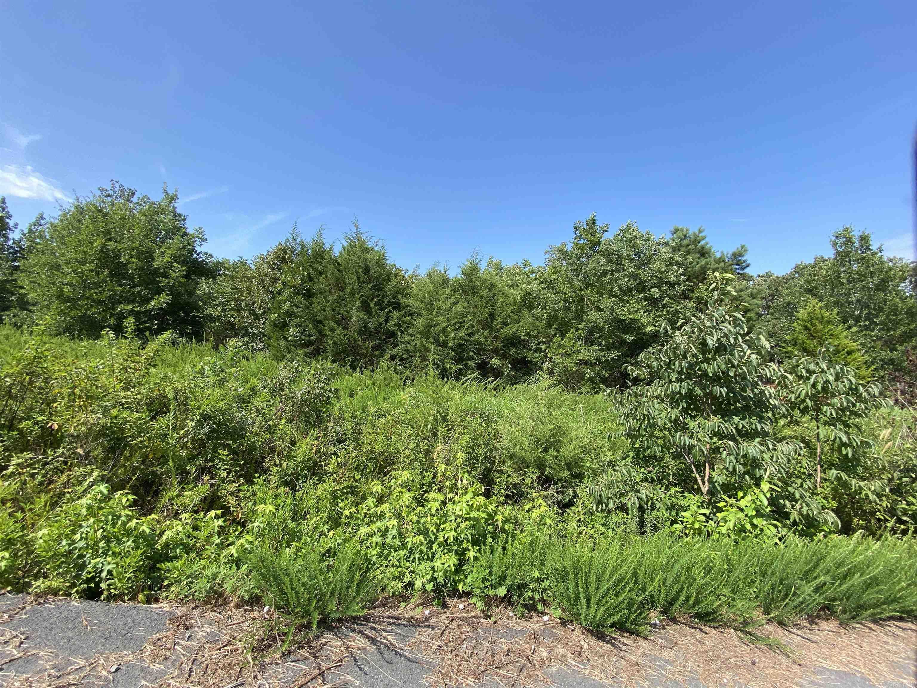 Lot 6 & 7  Bluff Dr.  Edgemont, AR