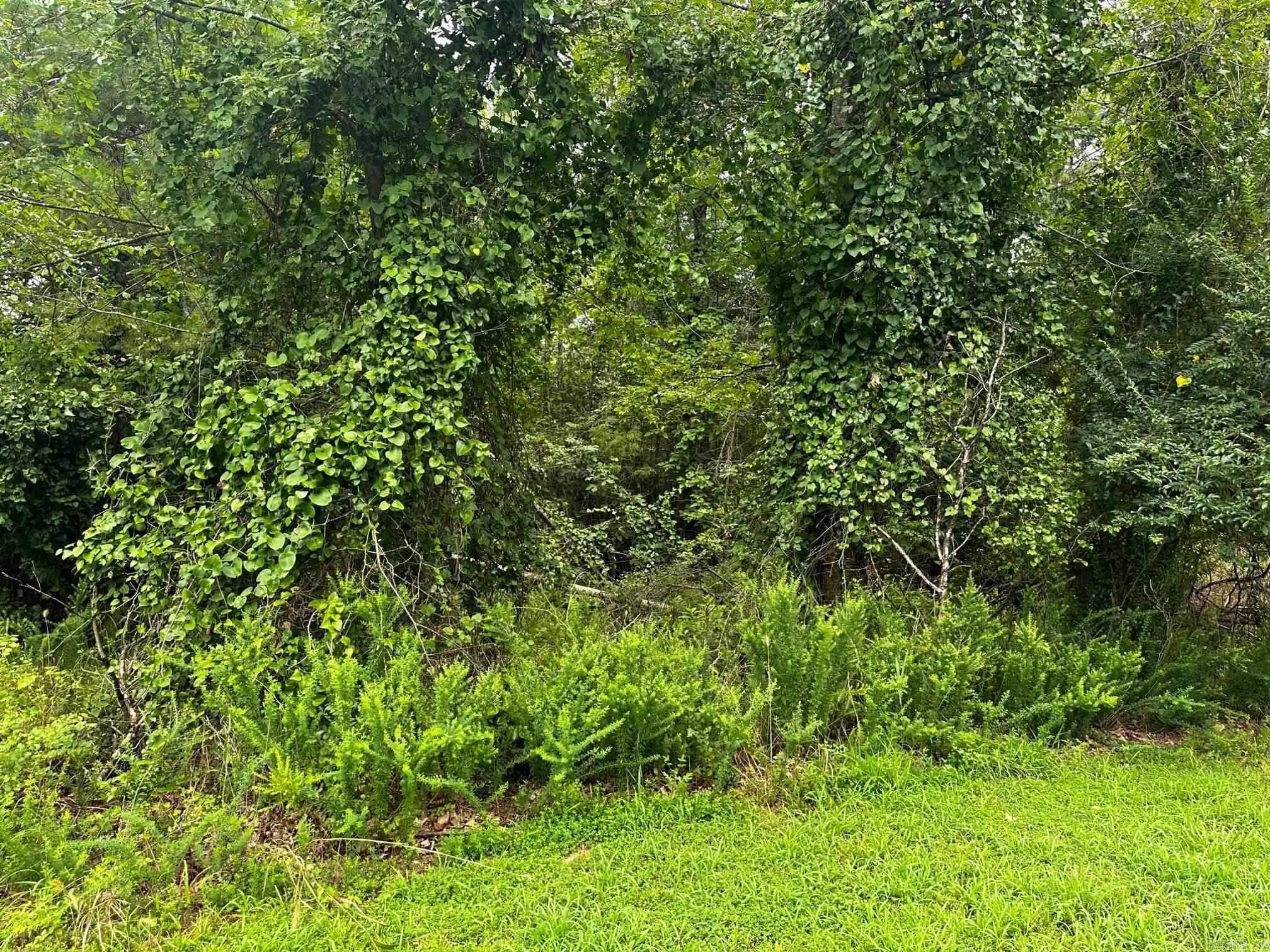 Lot 69  Cobalt Bay Drive  Shirley, AR
