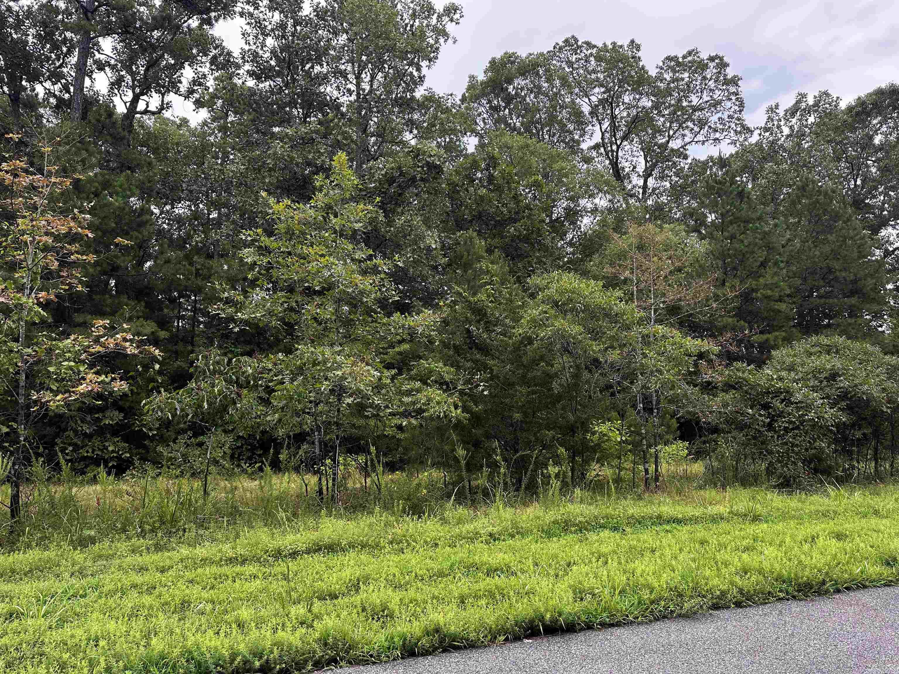 Lot 69  Cobalt Bay Drive  Shirley, AR