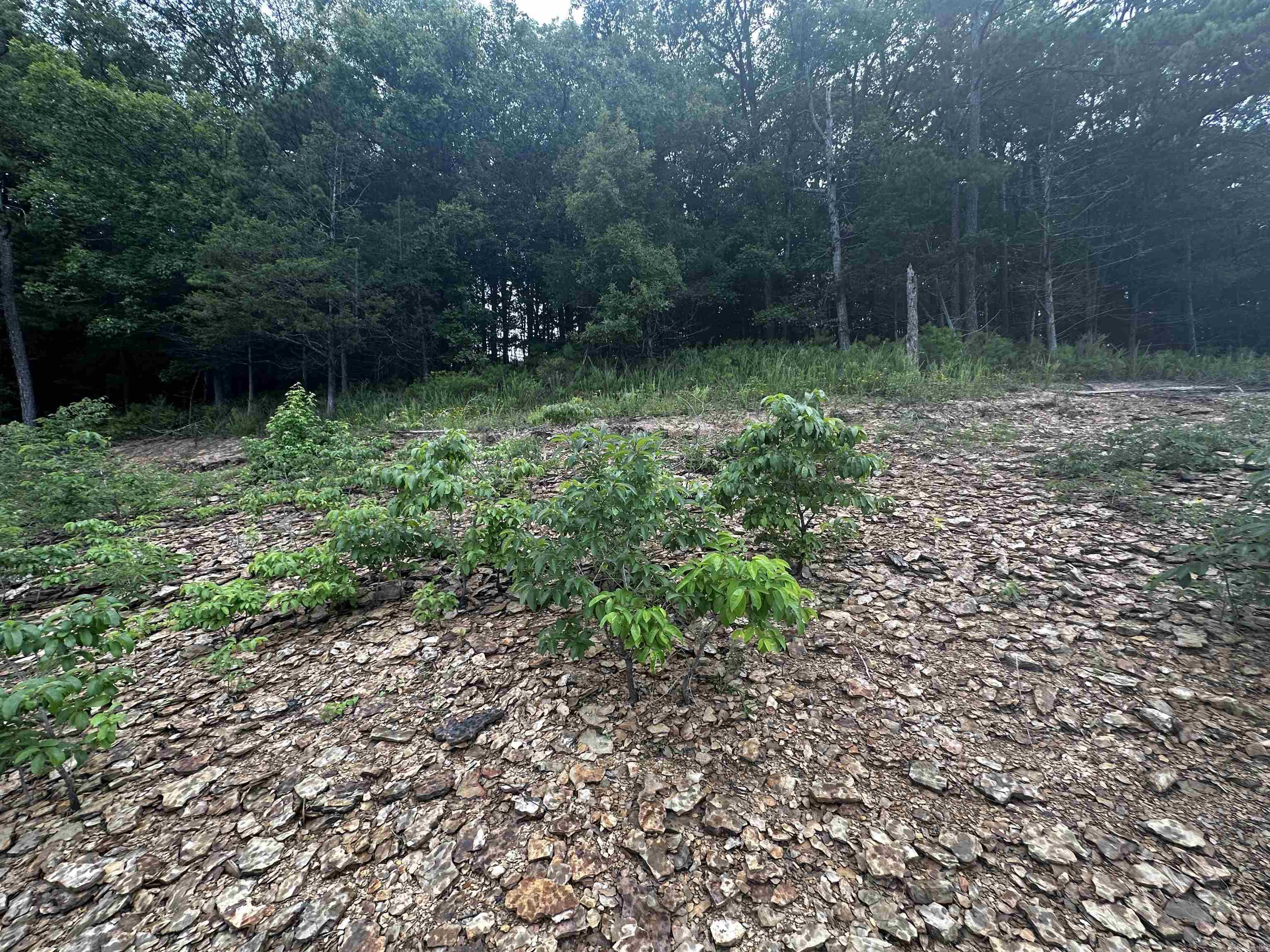 Lot 72  Cobalt Bay Drive  Shirley, AR