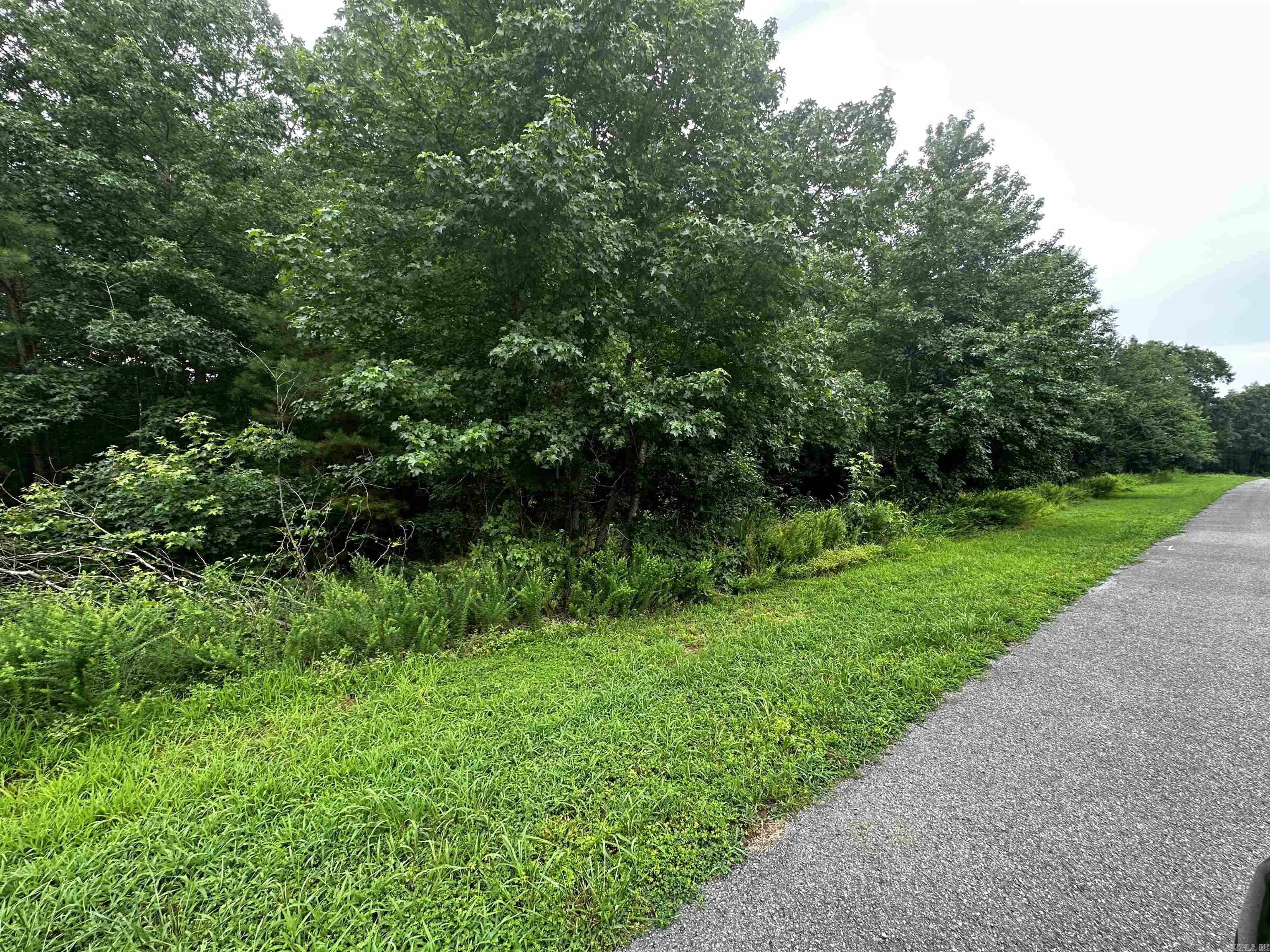 Lot 72  Cobalt Bay Drive  Shirley, AR