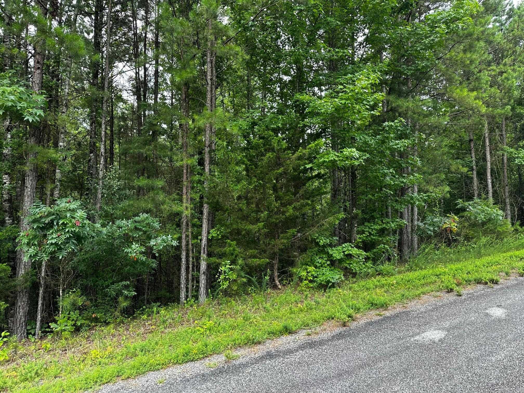 Lot 107  Cobalt Bay Drive  Shirley, AR