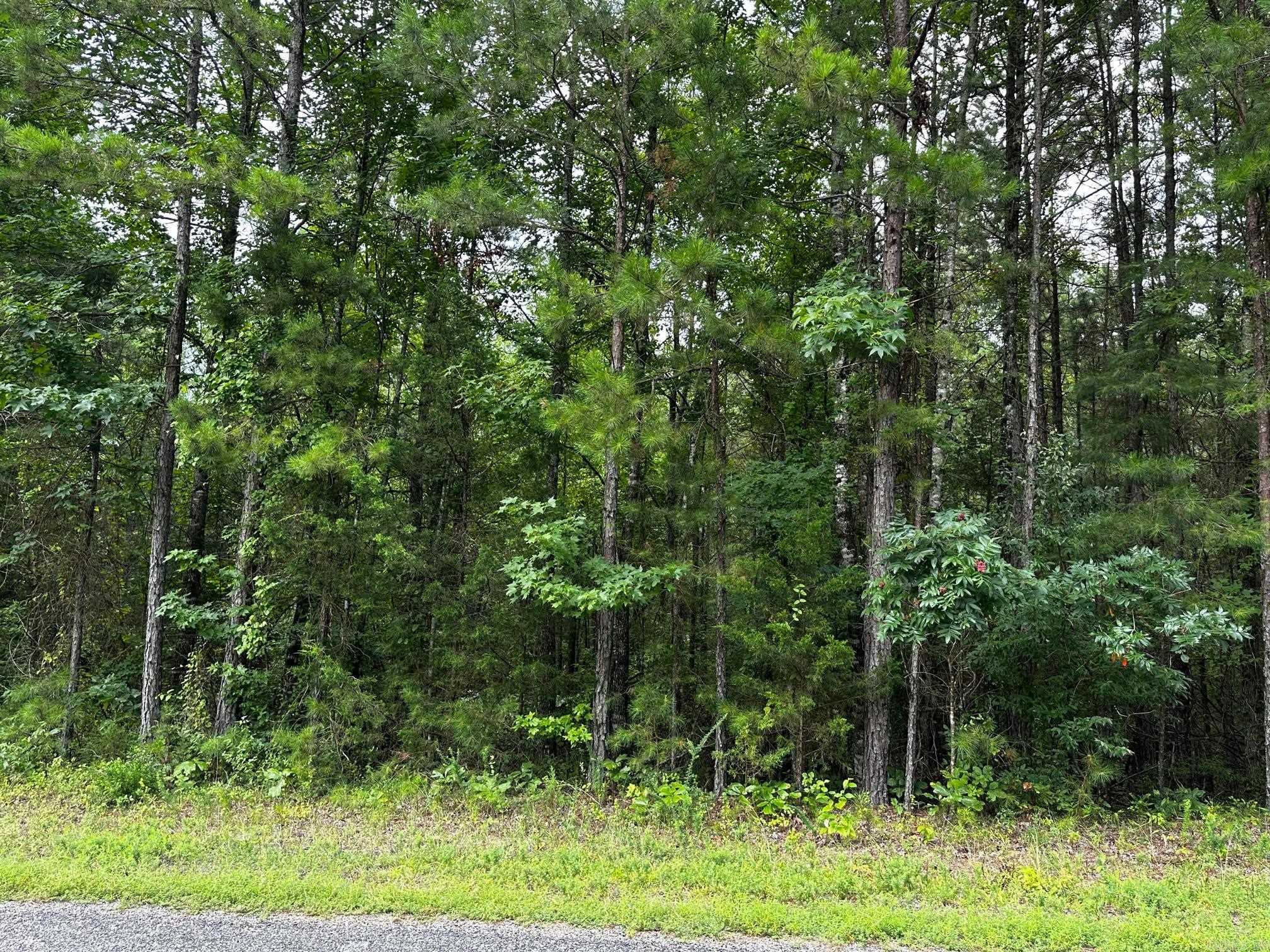 Lot 107  Cobalt Bay Drive  Shirley, AR