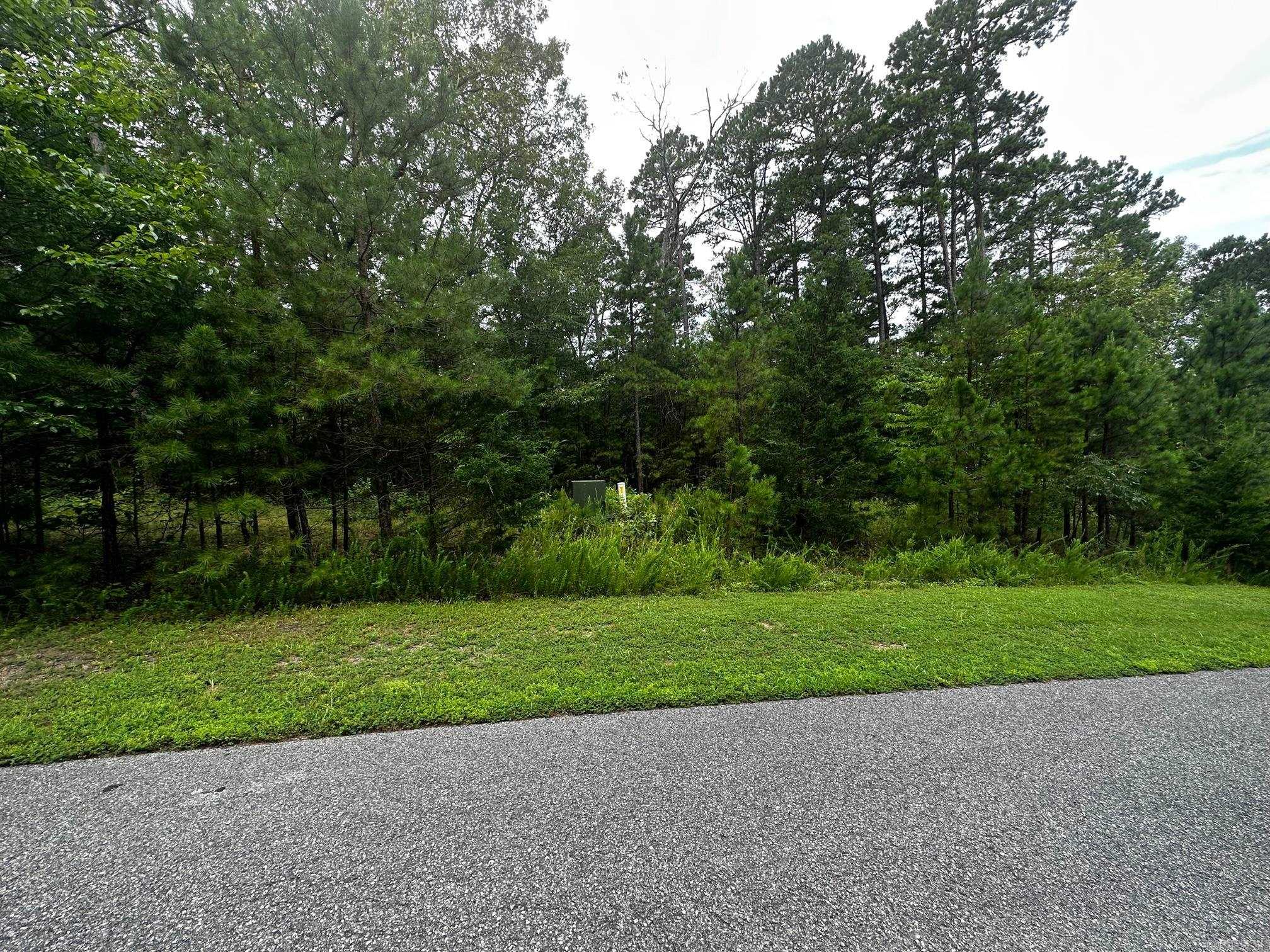 Lot 88  Cobalt Bay Drive  Shirley, AR