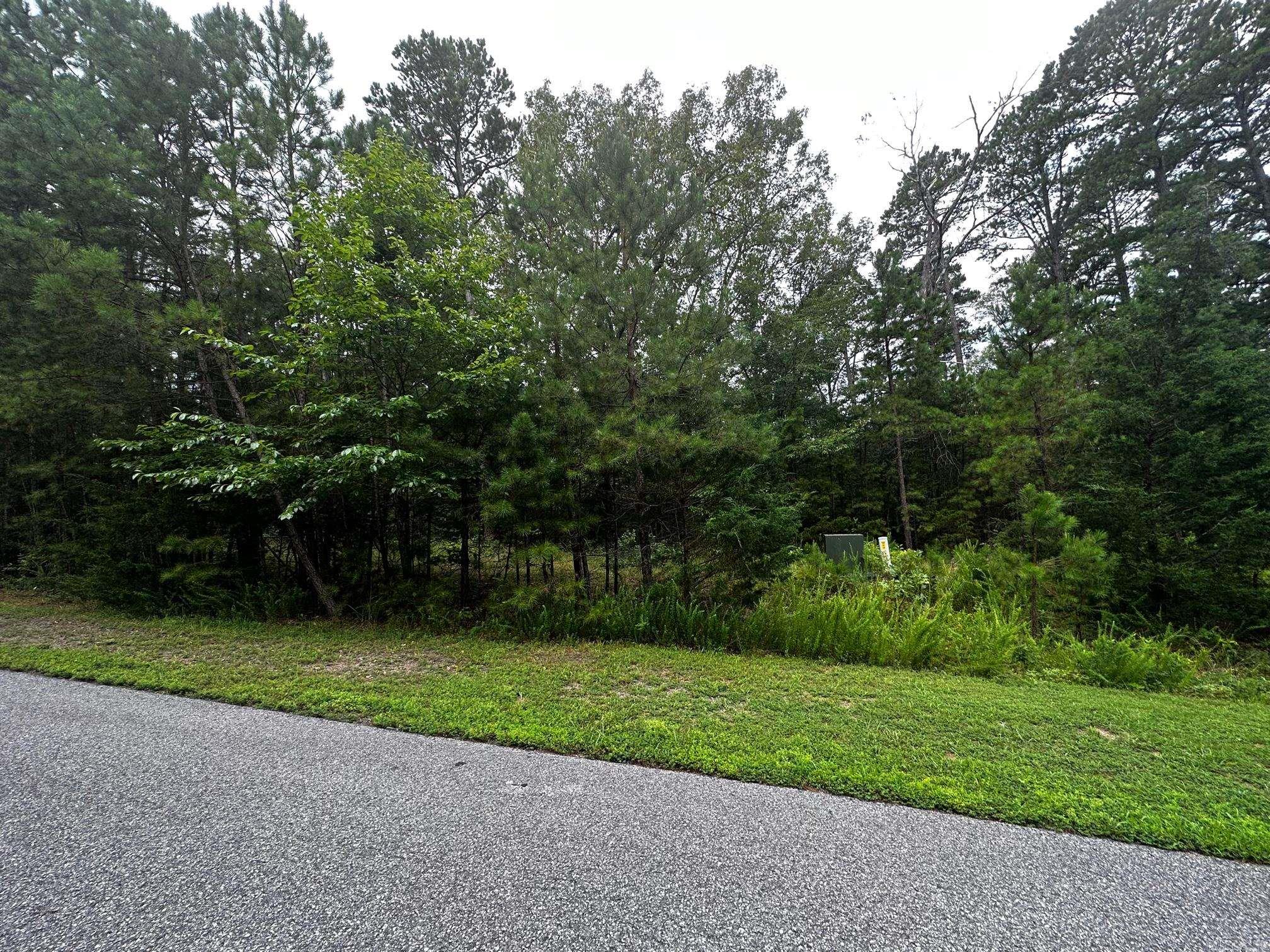 Lot 88  Cobalt Bay Drive  Shirley, AR