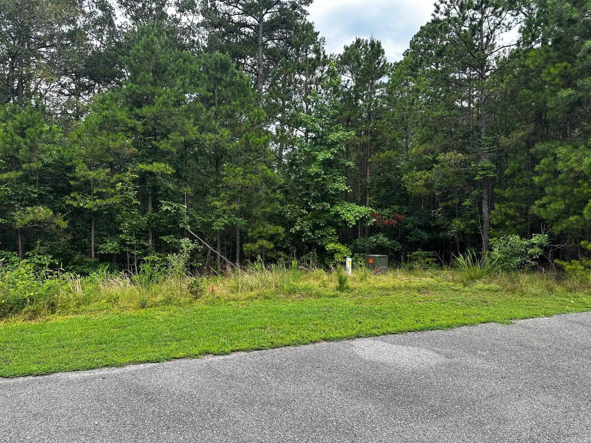 Lot 91  Cobalt Bay Drive  Shirley, AR