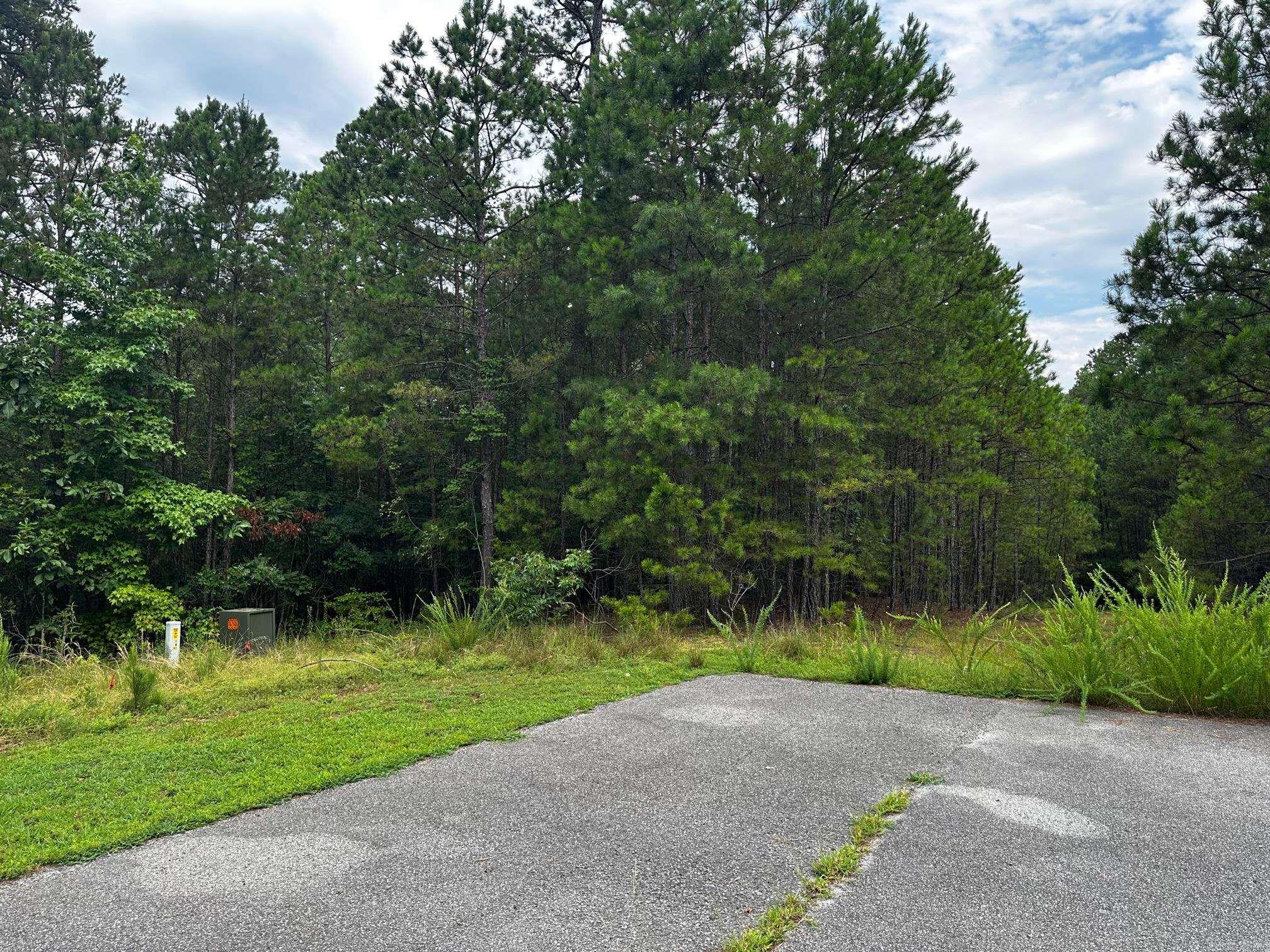 Lot 91  Cobalt Bay Drive  Shirley, AR