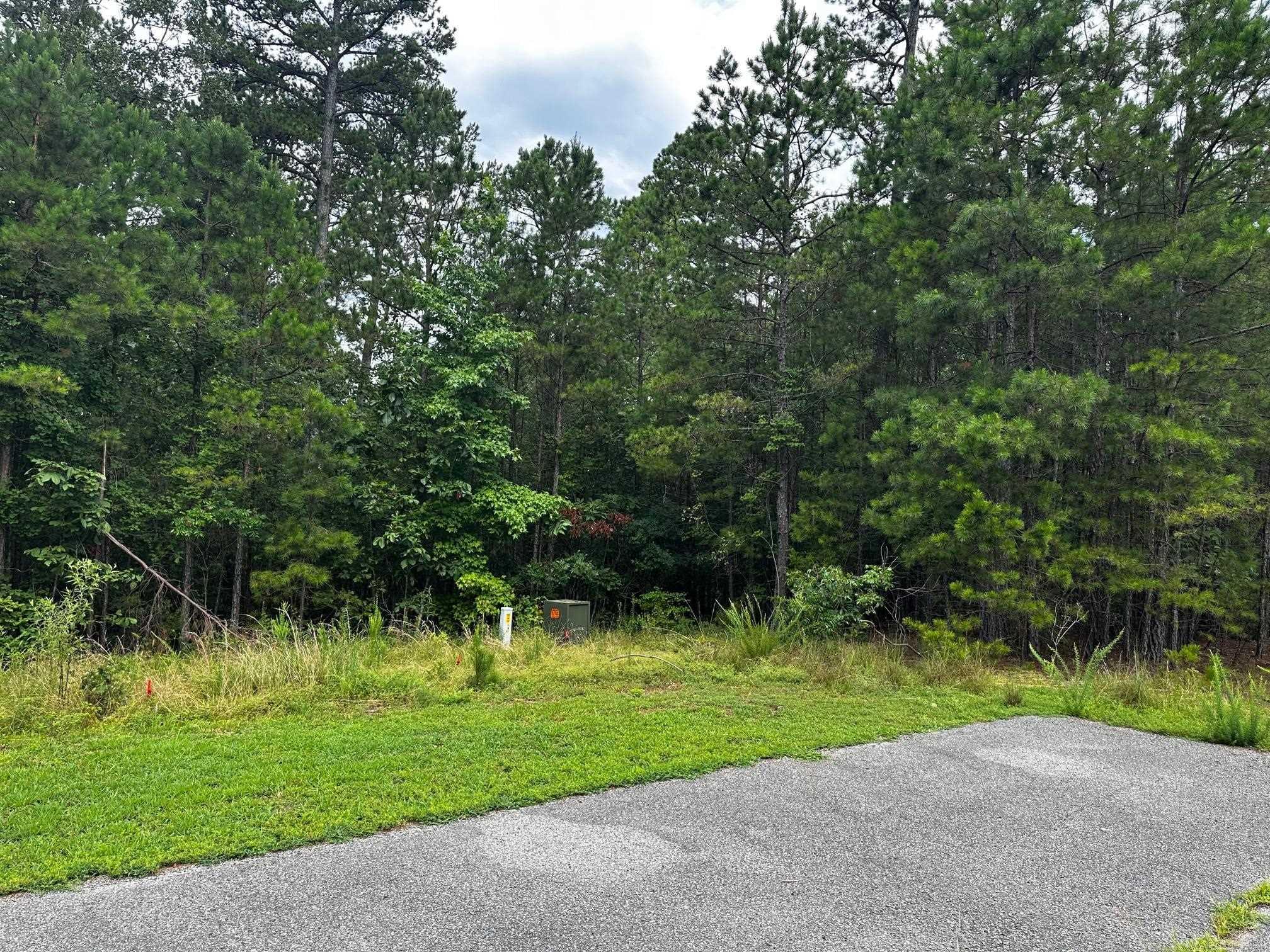 Lot 91  Cobalt Bay Drive  Shirley, AR