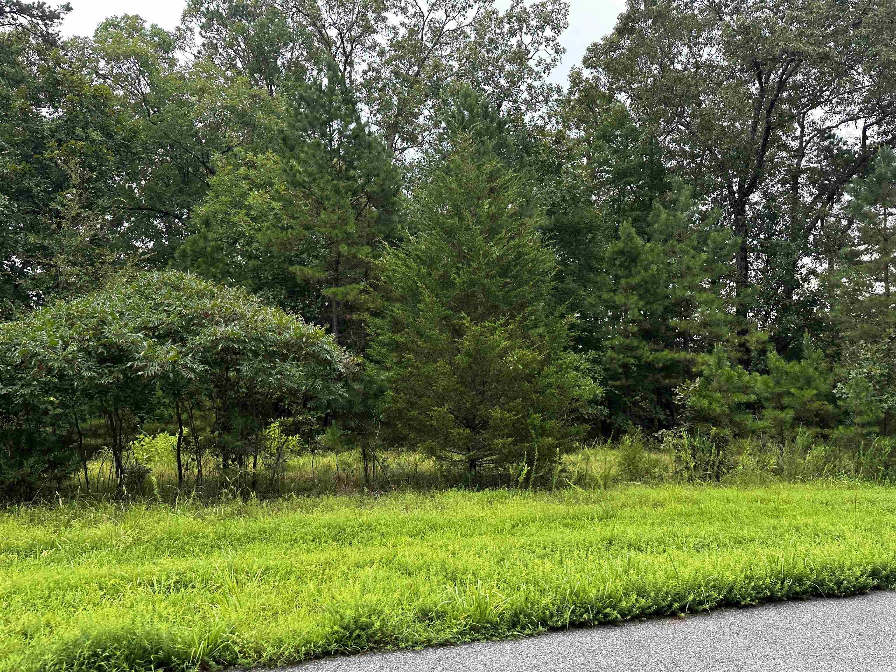 Lot 65  Cobalt Bay Drive  Shirley, AR