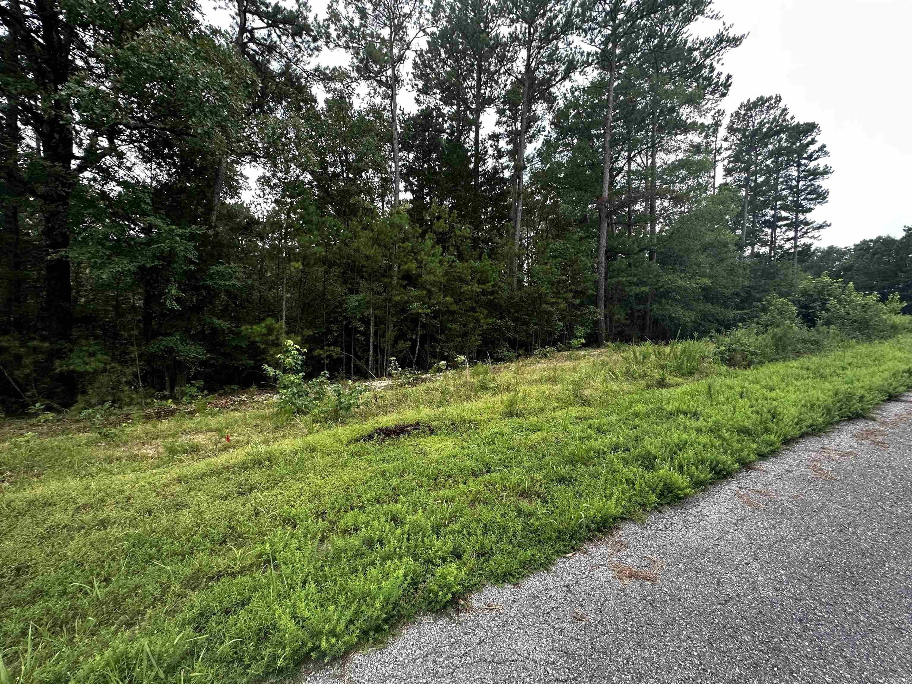 Lot 62  Green Creek Trl  Shirley, AR