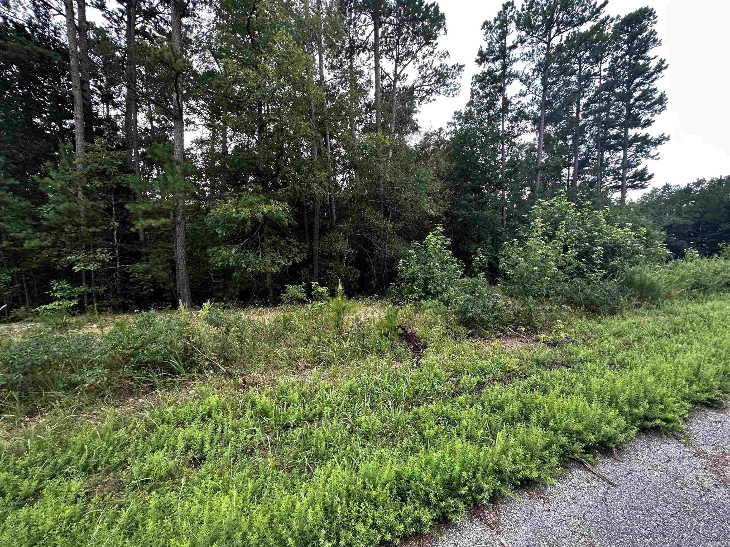 Lot 62  Green Creek Trl  Shirley, AR