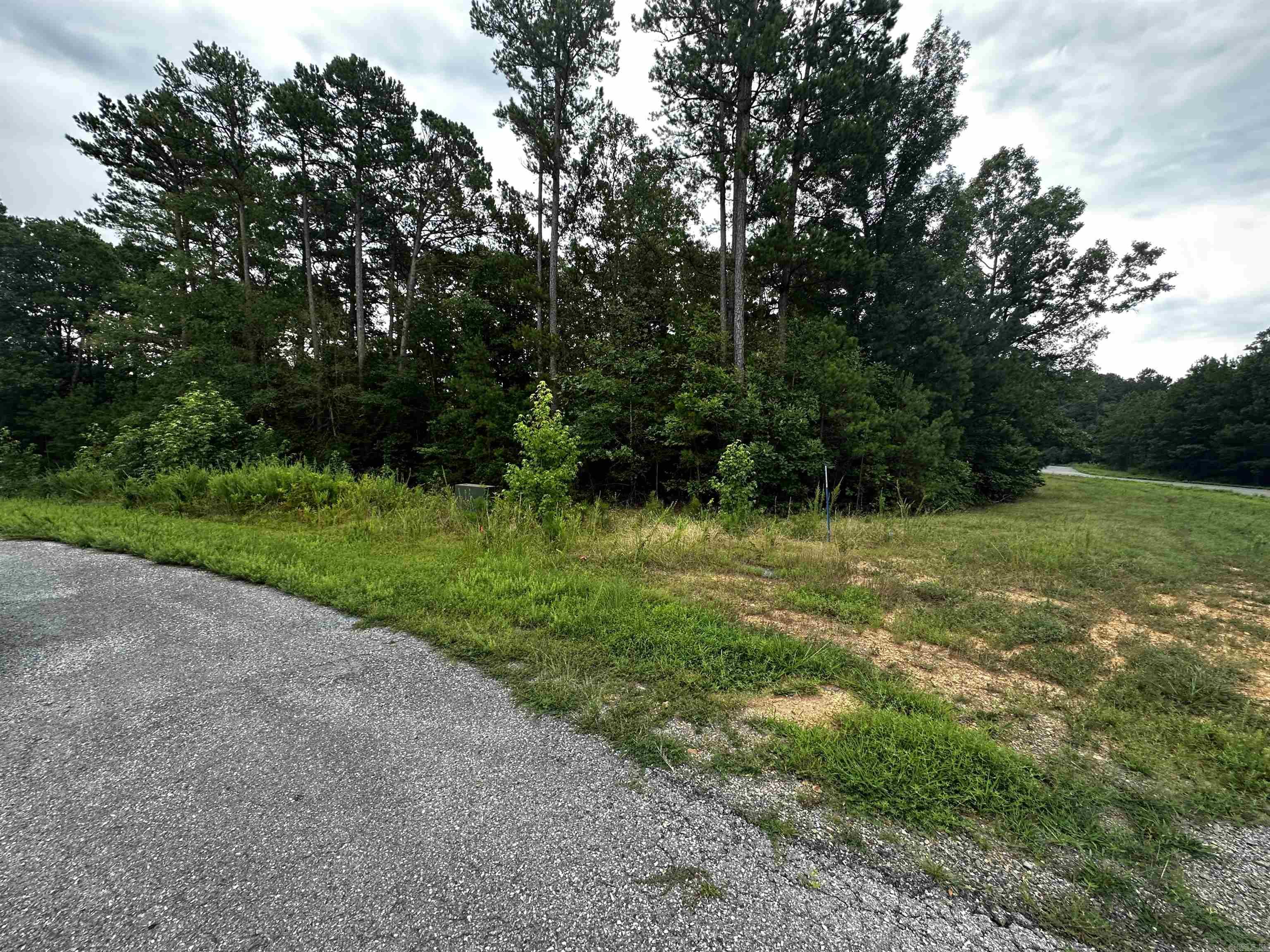 Lot 62  Green Creek Trl  Shirley, AR