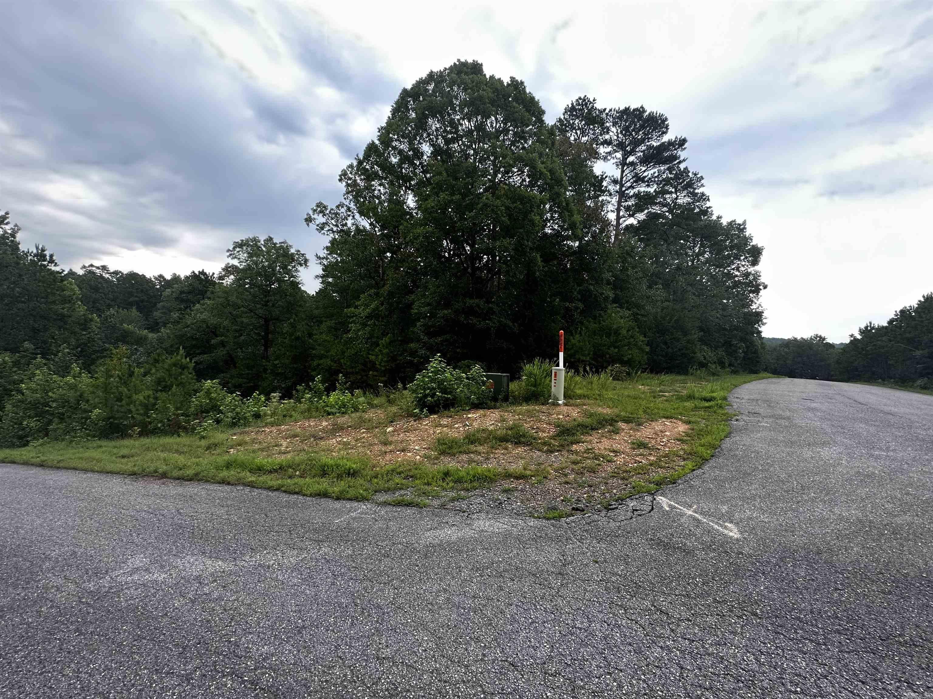 Lot 49  Cobalt Bay Drive  Shirley, AR