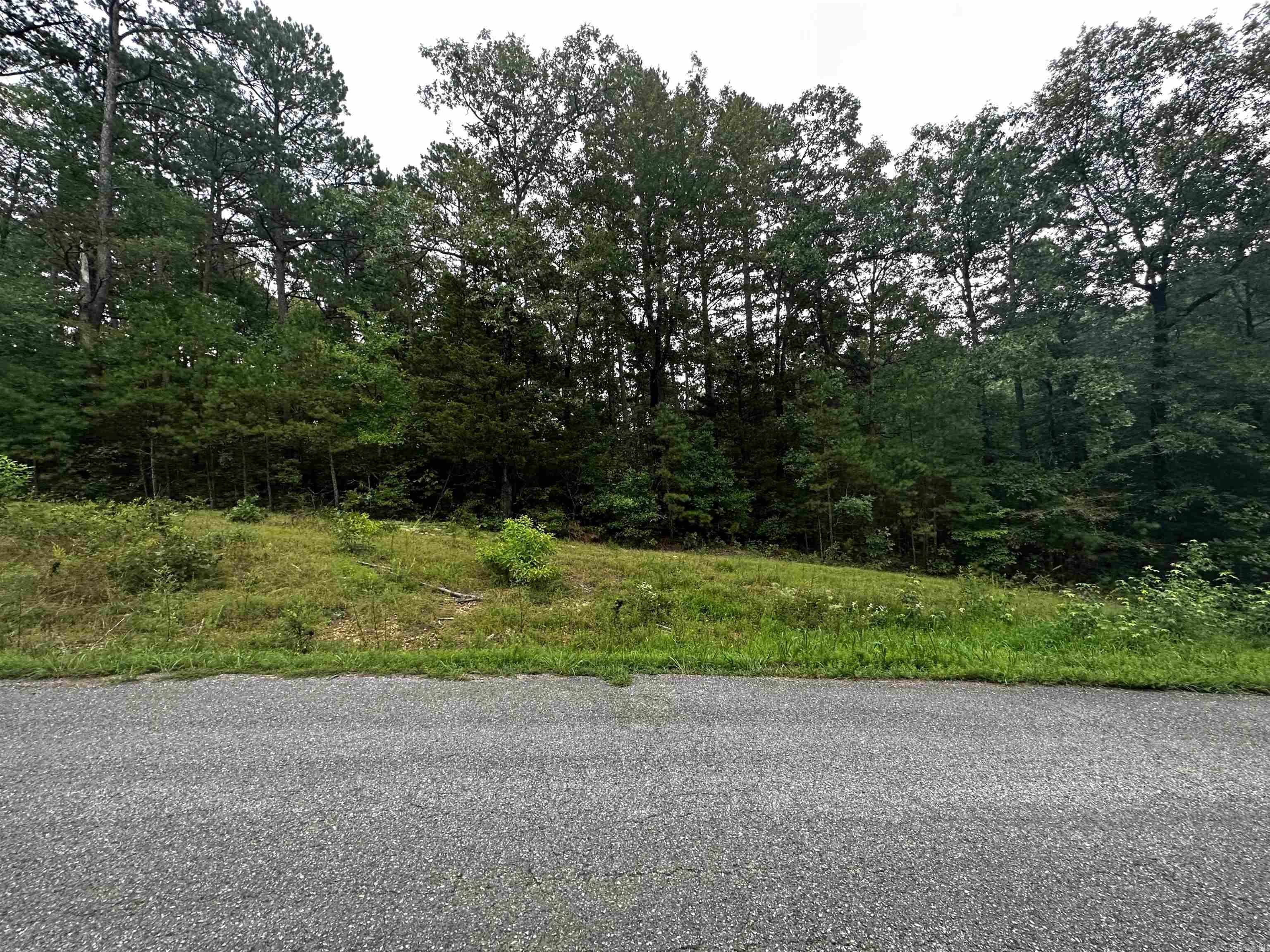 Lot 47  Cobalt Bay Drive  Shirley, AR