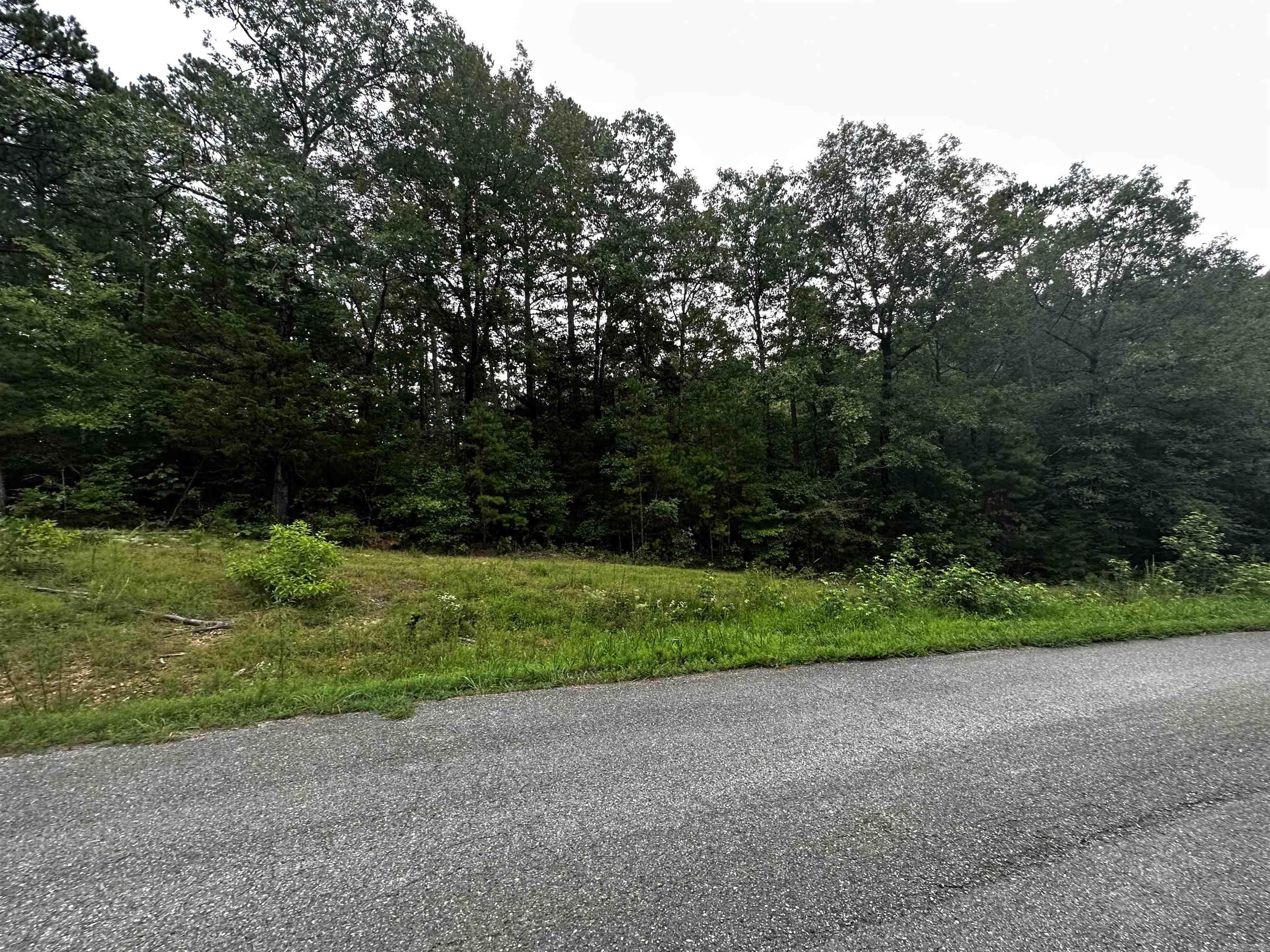 Lot 47  Cobalt Bay Drive  Shirley, AR